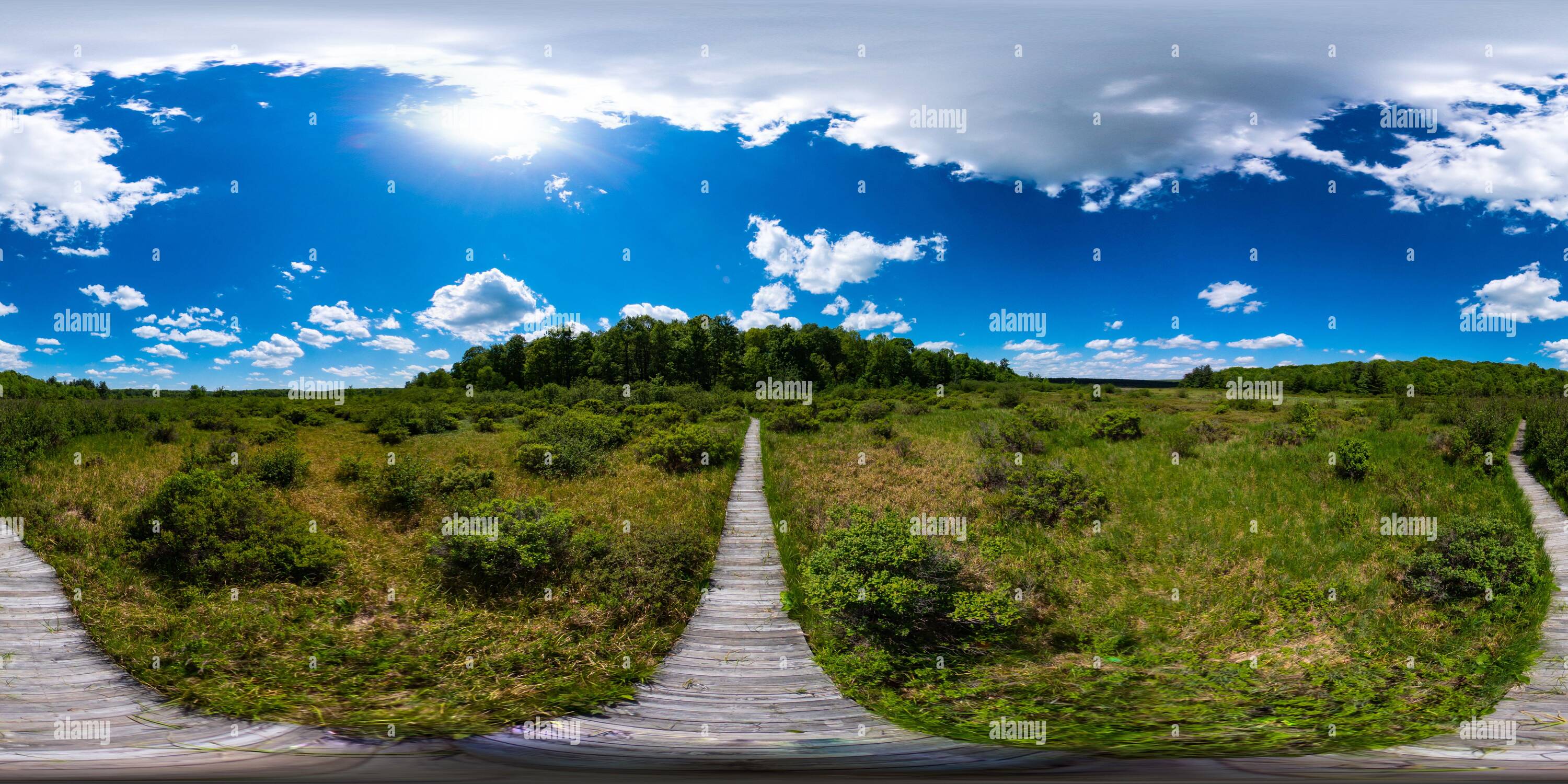 360 Grad Panorama Ansicht von Wunderschöner blauer Himmel über einem Sumpf, der über eine Promenade erreichbar ist