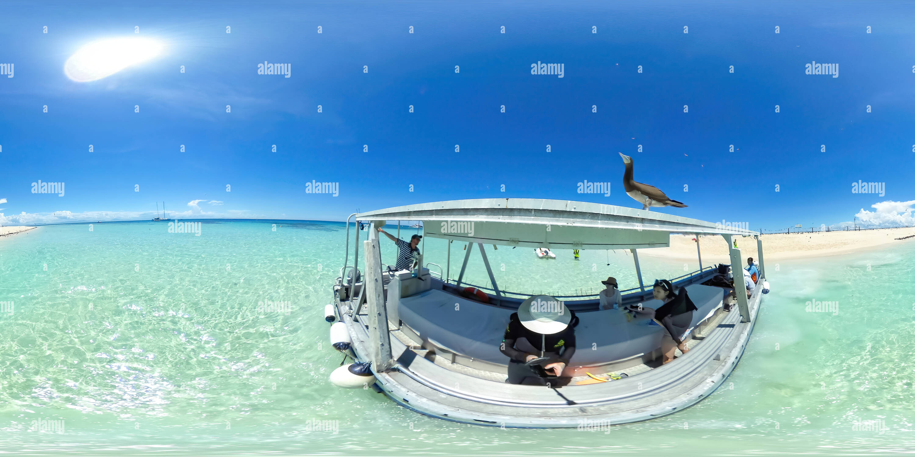 360 Grad Panorama Ansicht von Michaelmas Cay, Das Great Barrier Reef, Australien