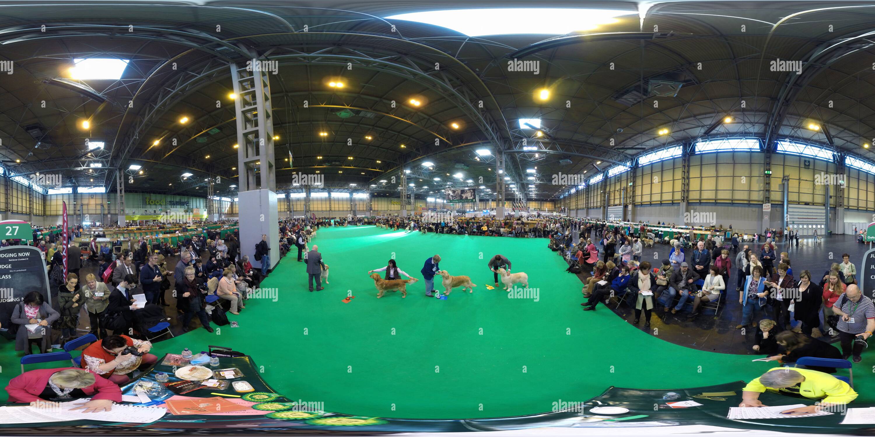 360 Grad Panorama Ansicht von „ Gundog Day “ der Crufts 2016. Crufts feiert sein 125-jähriges Bestehen. Bildnachweis: © Mark Pain / Alamy