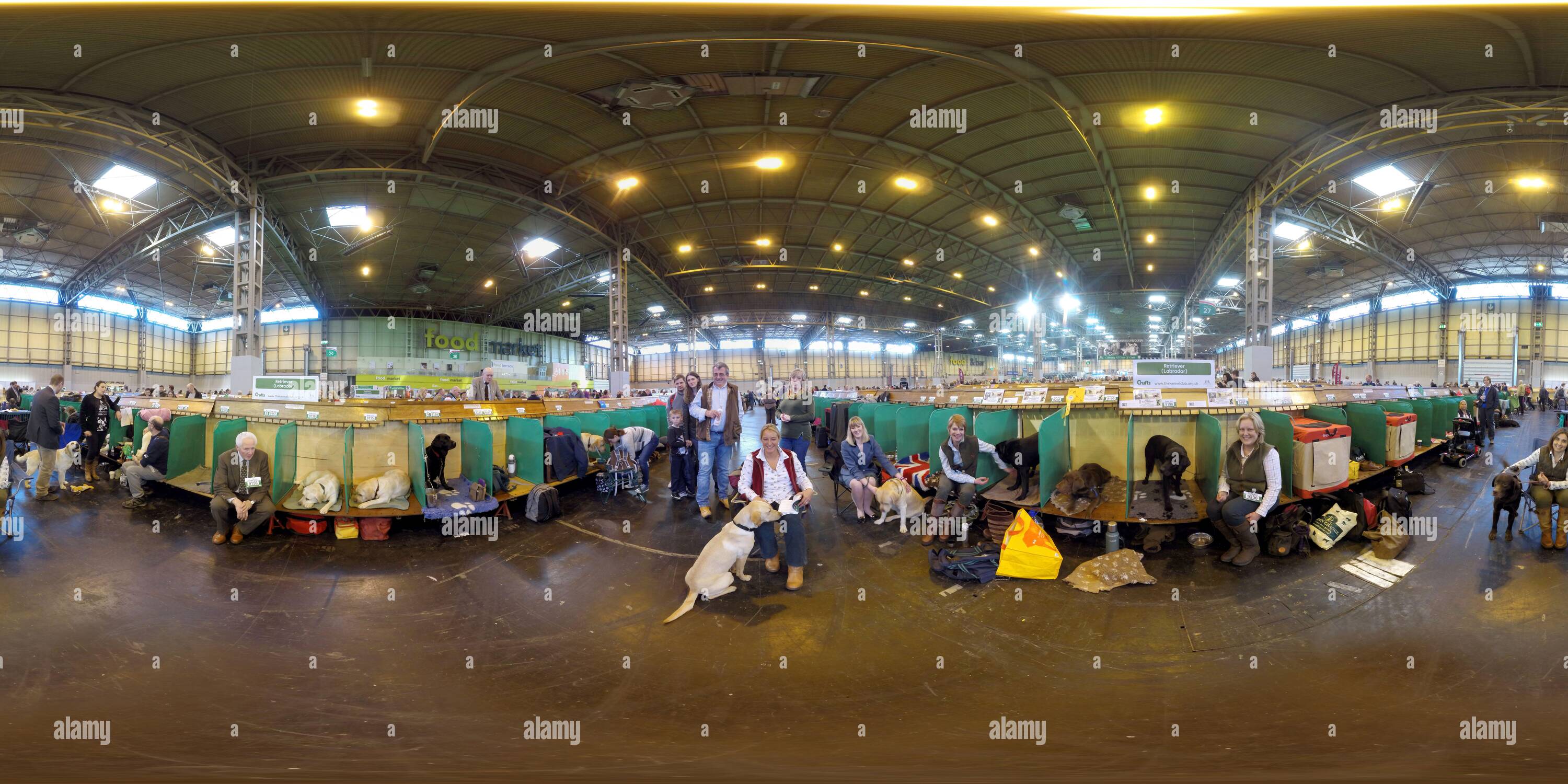 360 Grad Panorama Ansicht von „ Gundog Day “ der Crufts 2016. Crufts feiert sein 125-jähriges Bestehen. Bildnachweis: © Mark Pain / Alamy