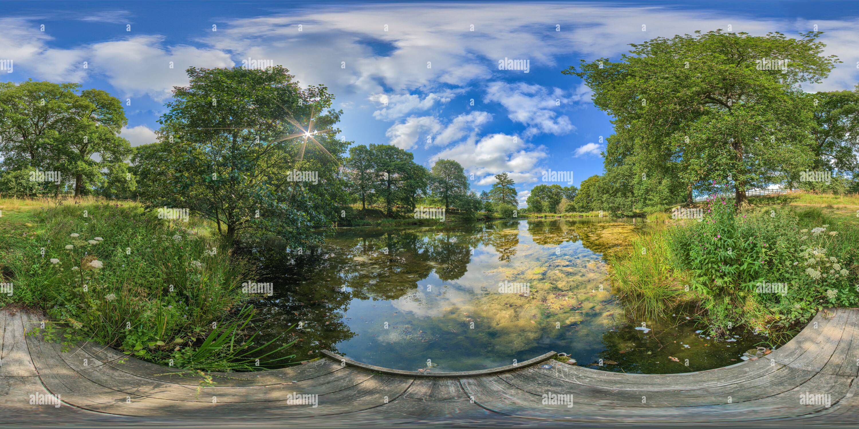 360 Grad Panorama Ansicht von Lokaler Teich in Derbyshire, England im Sommer.