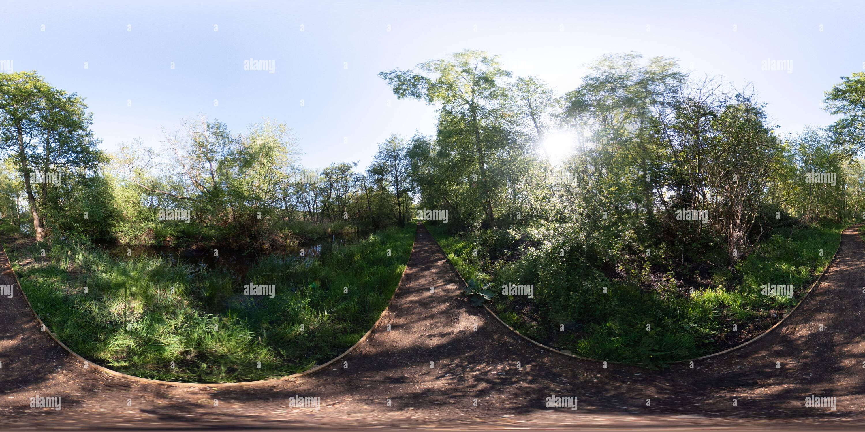 360 Grad Panorama Ansicht von Vollständiges, kugelförmiges, nahtloses Panorama 360-Grad-Ansicht des Pfades durch den Wald, um die Inszenierung auf Filby Broad im Norfolk Broads Nat zu erreichen