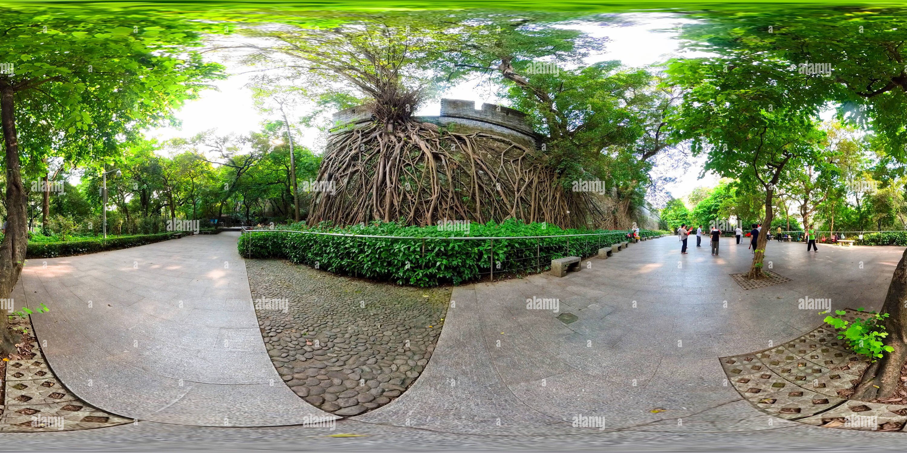 360 Grad Panorama Ansicht von Alte Stadtmauern, banyan-Bäume und morgendliche Übungsfahrer
