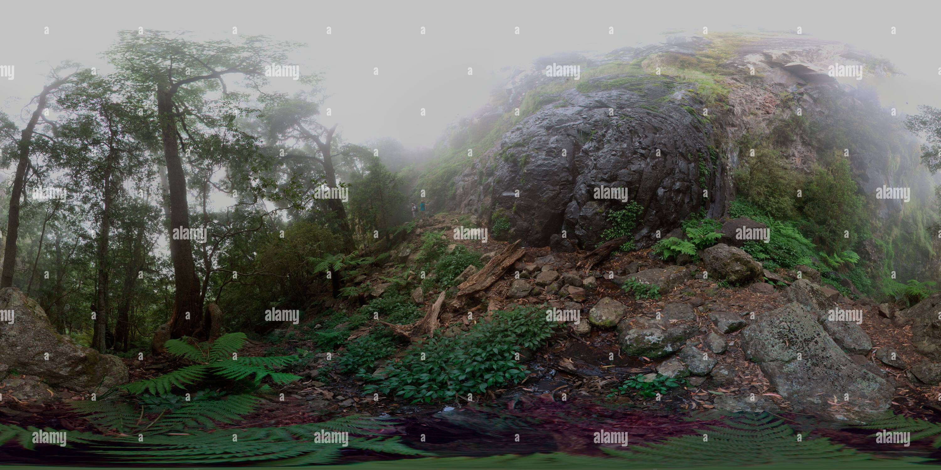 360 Grad Panorama Ansicht von Das Panorama des Weeping Rock Walking Track im New England National Park führt Sie zu einer Basaltklippe mit natürlichen Quellen oben und mit Moos bedeckt