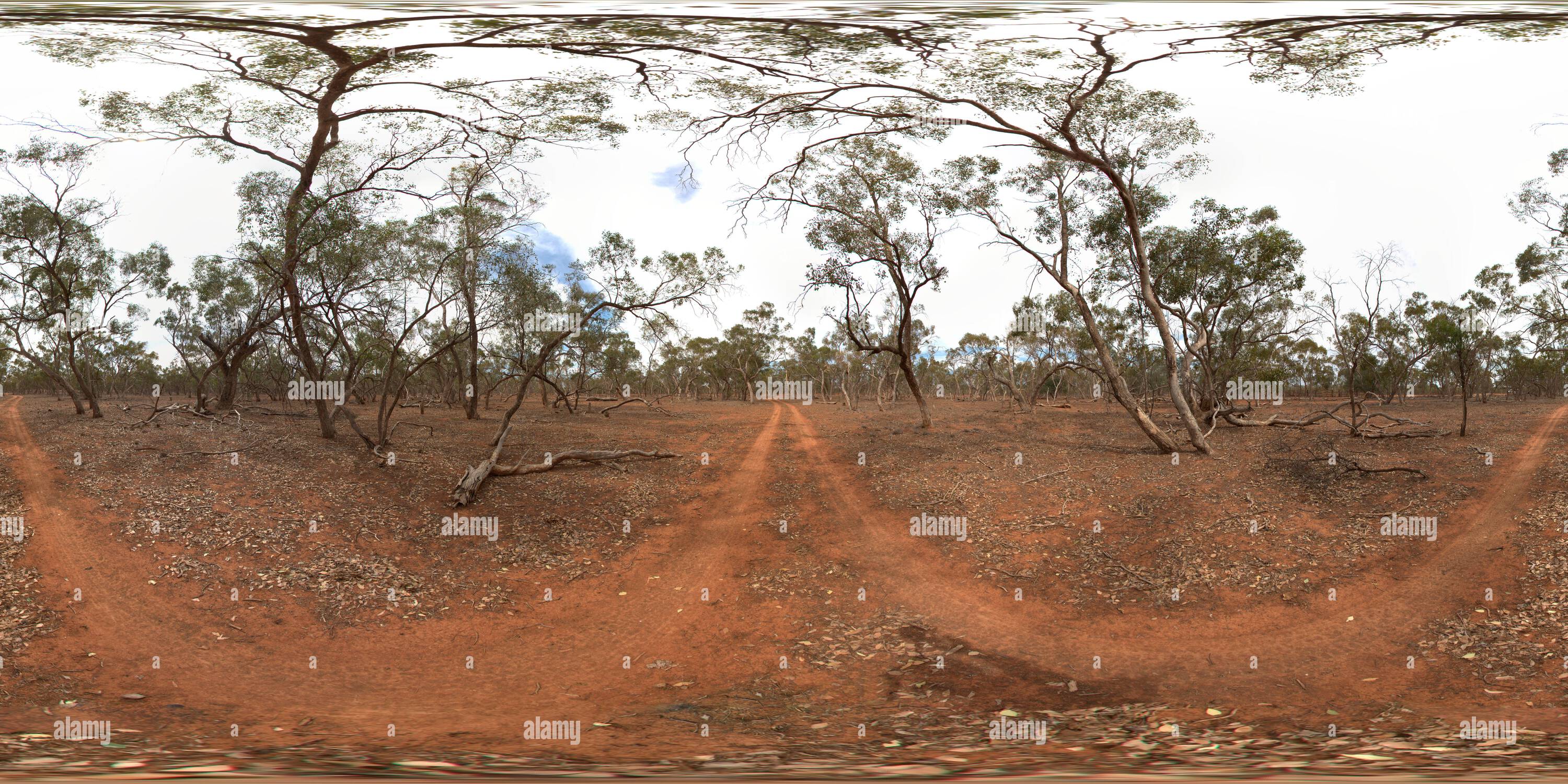 360 Grad Panorama Ansicht von 360 Panorama der ehemaligen Schafstation, die jetzt Teil des Gundabooka National Park südlich von Bourke Australia ist