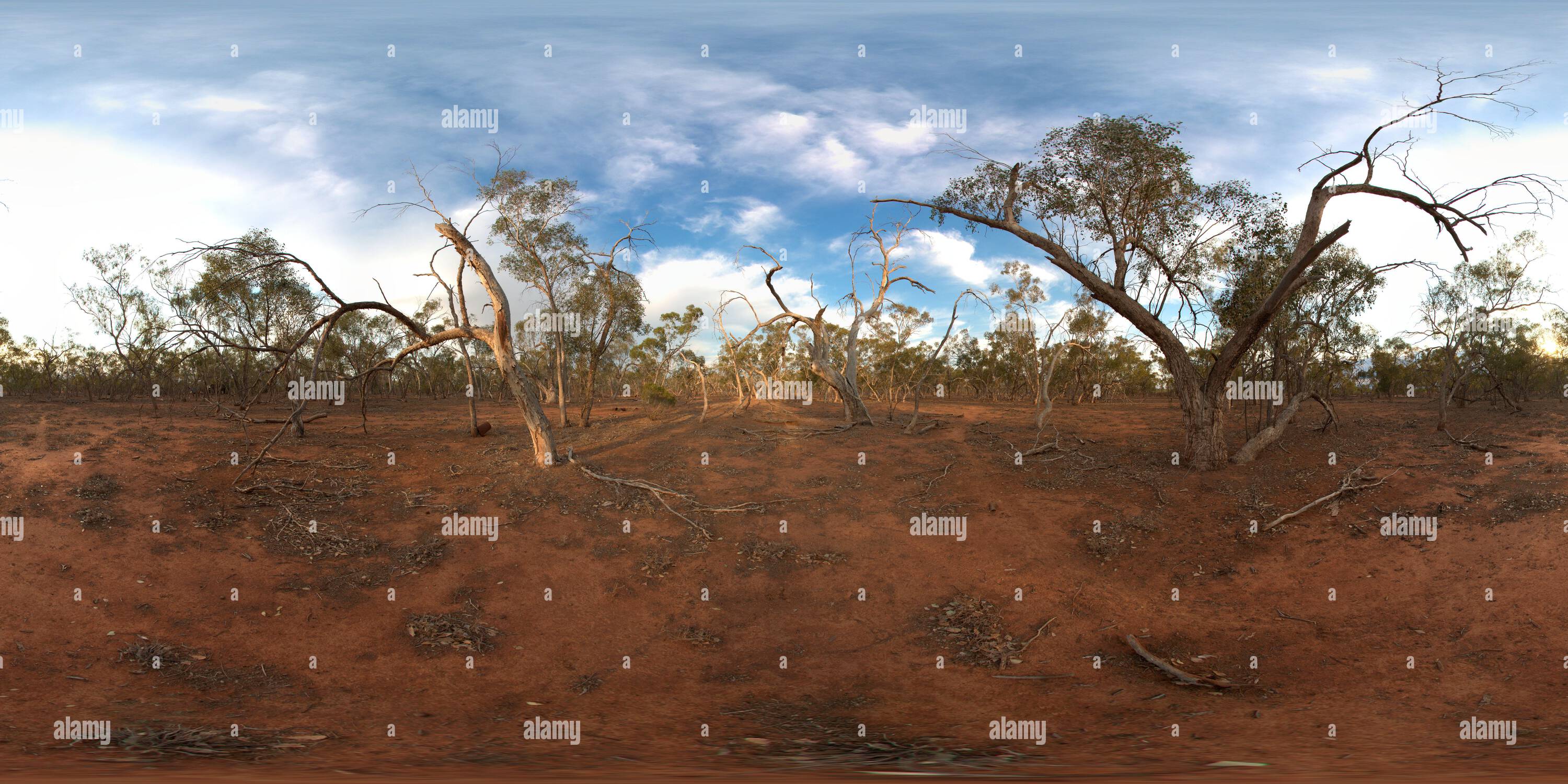 360 Grad Panorama Ansicht von 360 Panorama der ehemaligen Schafstation, die jetzt Teil des Gundabooka National Park südlich von Bourke Australia ist