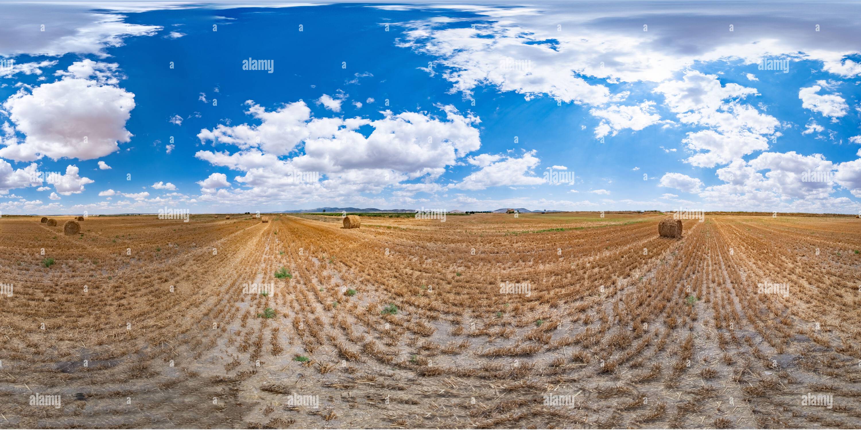 360 Grad Panorama Ansicht von 360 Grad Landschaft des Weizenfeldes in der Erntezeit