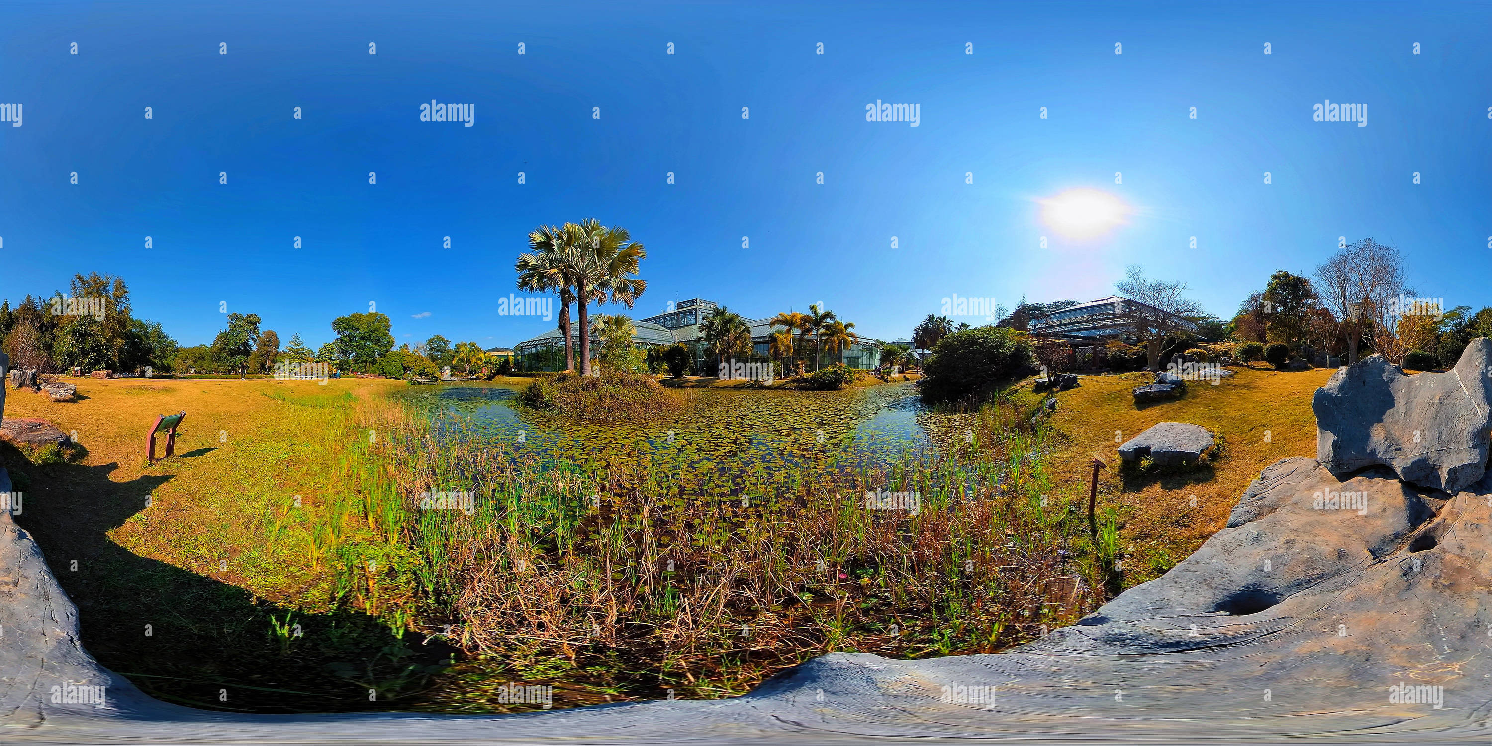 360 Grad Panorama Ansicht von Botanischer Garten Südchina 华南植物园