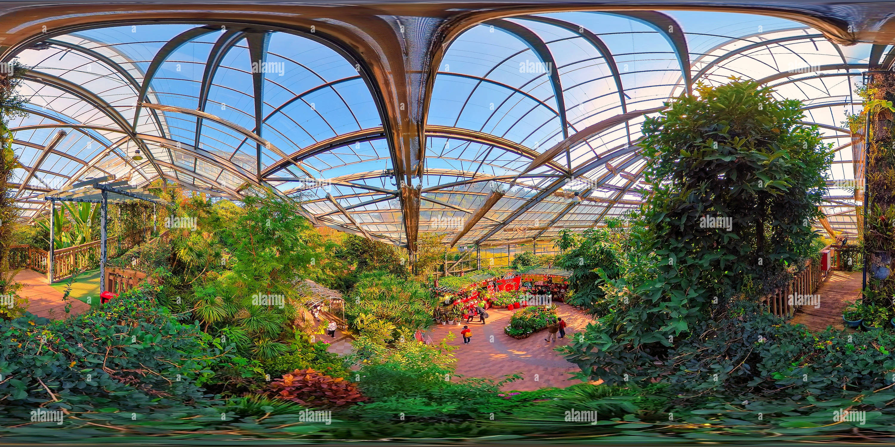 360 Grad Panorama Ansicht von Tropische greenhouse热带植物温室
