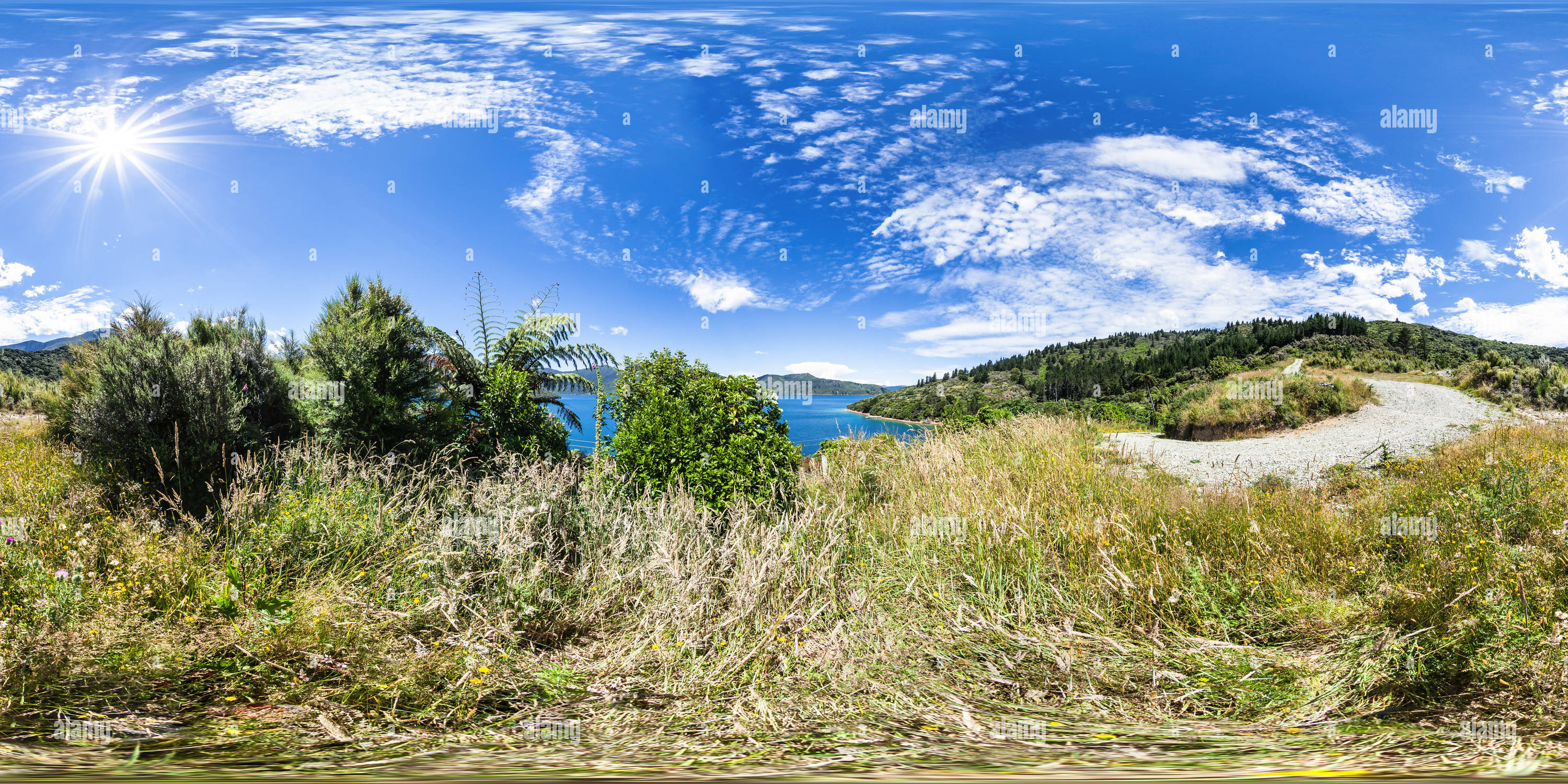 360 Grad Panorama Ansicht von Acurbloms Road - Camp Bay - Endeavour Inlet - Queen Charlotte Sound - Marlborough - Neuseeland - Ozeanien