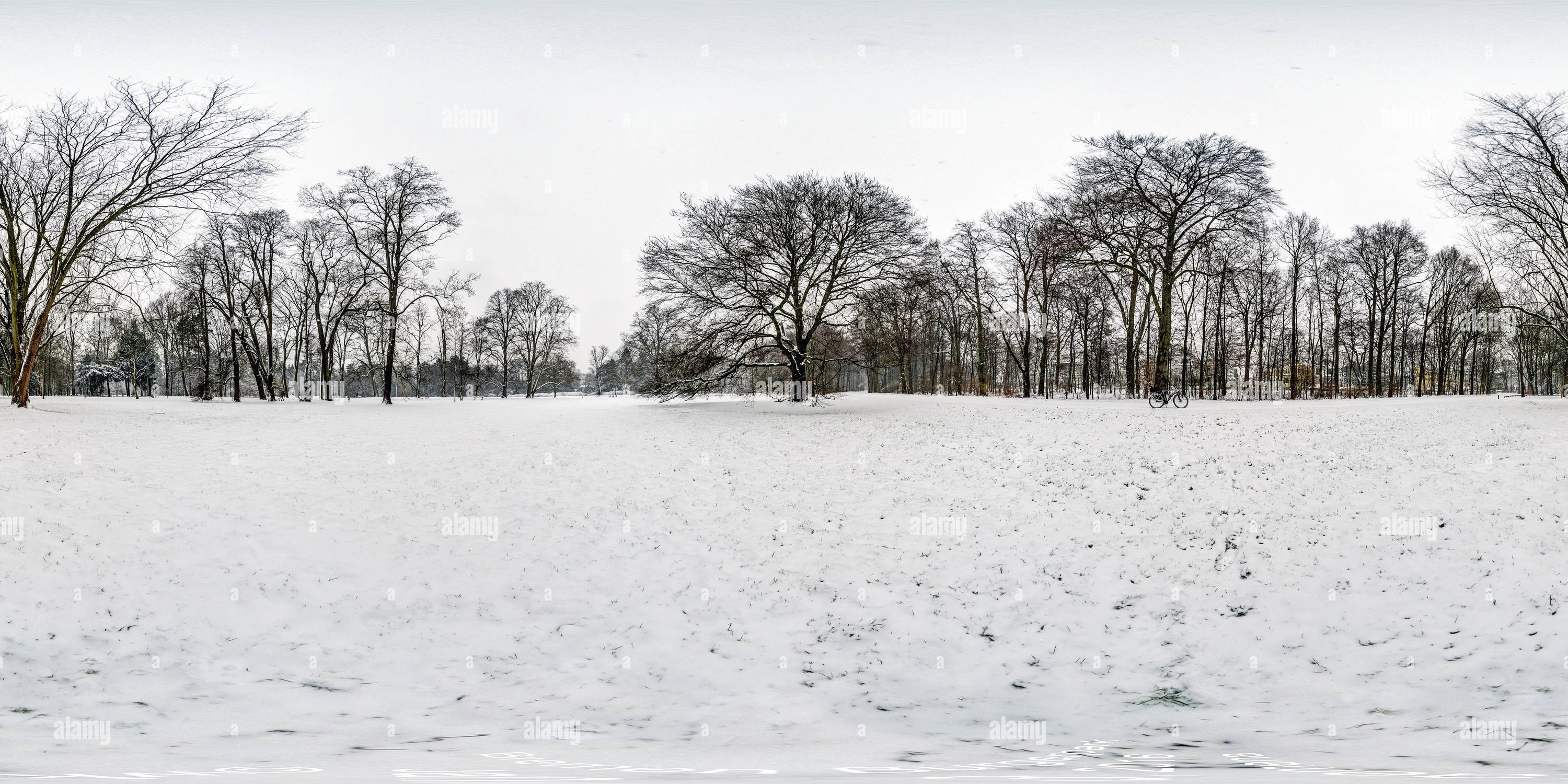 360 Grad Panorama Ansicht von Bremen Bürgerpark mit Schnee