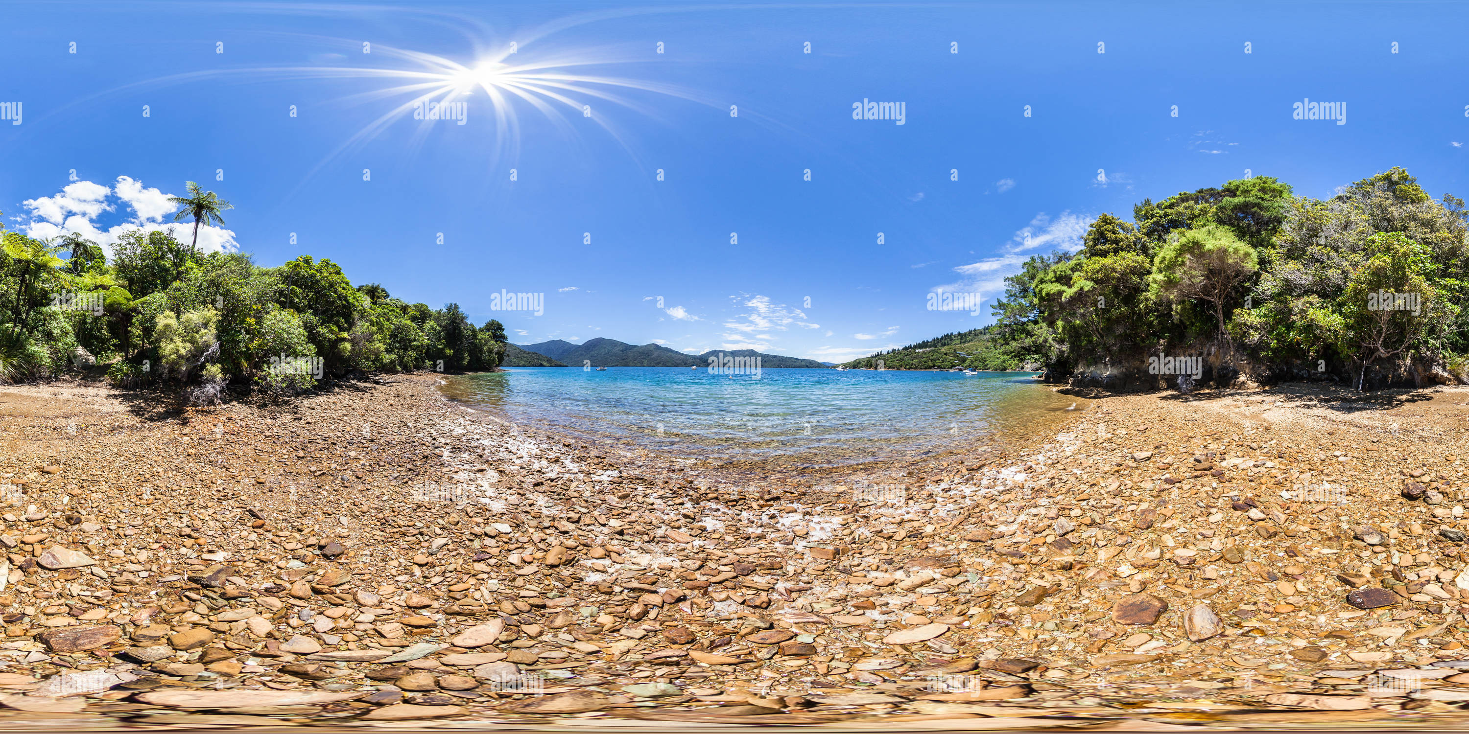 360 Grad Panorama Ansicht von Strand in Camp Bay - Endeavour Inlet - Queen Charlotte Sound - Marlborough - Neuseeland - Ozeanien