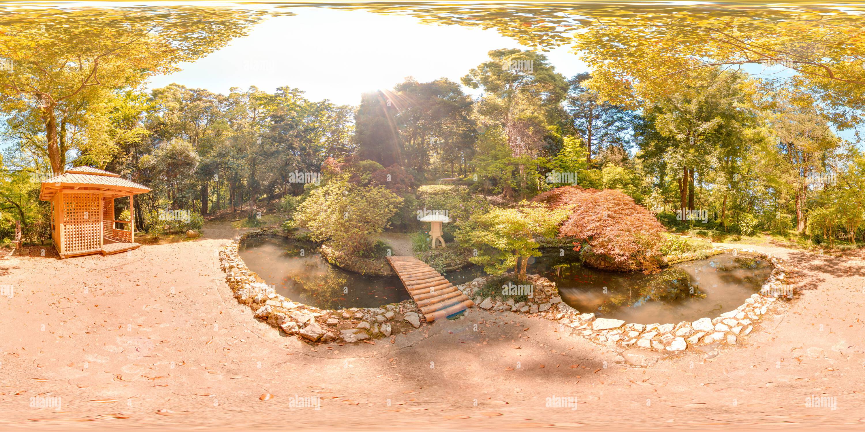 360 Grad Panorama Ansicht von Japanischer Garten Botanischer Garten Georgia Batumi blauer Himmel Bäume Frühling mit 3D kugelförmigen Panorama mit 360 Grad Betrachtungswinkel Boden bereit für Virtua