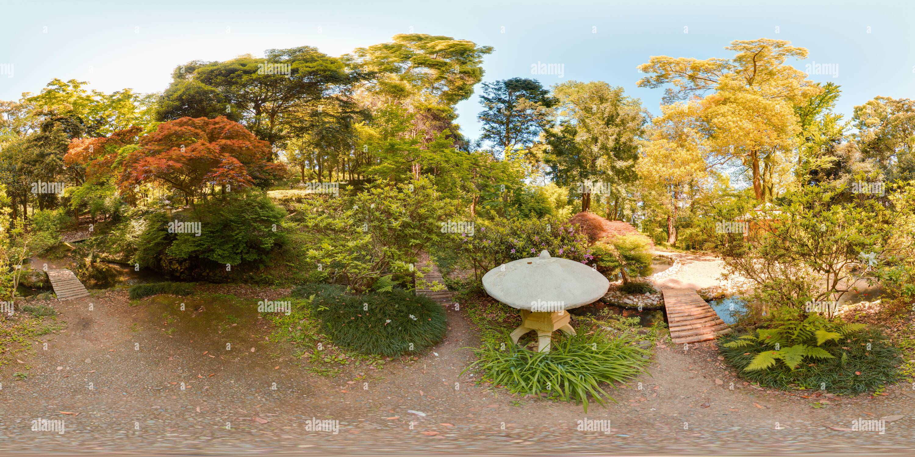 360 Grad Panorama Ansicht von Japanischer Garten Botanischer Garten Georgia Batumi blauer Himmel Bäume Frühling mit 3D kugelförmigen Panorama mit 360 Grad Betrachtungswinkel Boden bereit für Virtua