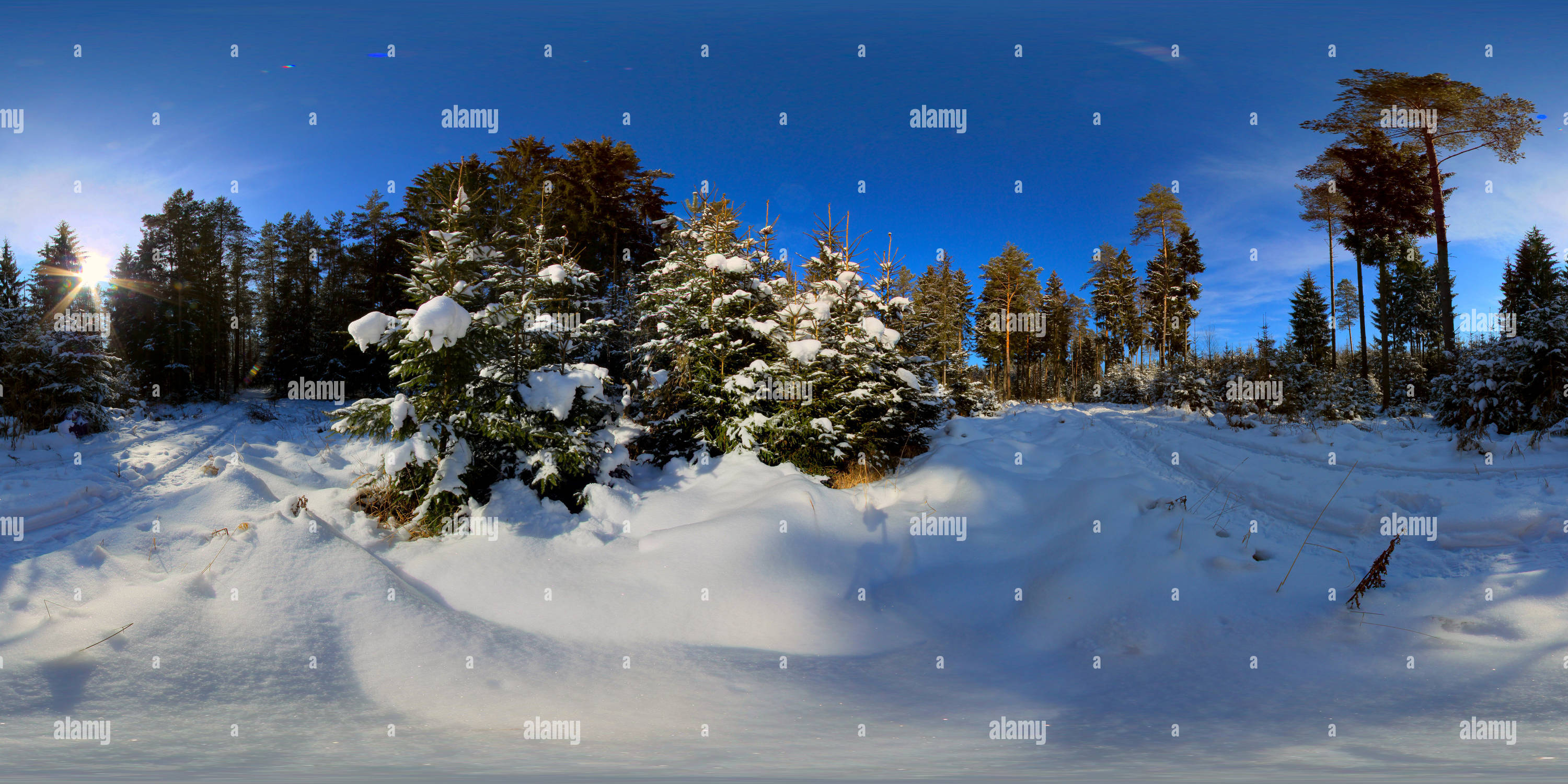 360 Grad Panorama Ansicht von Holzland bei Hermsdorf
