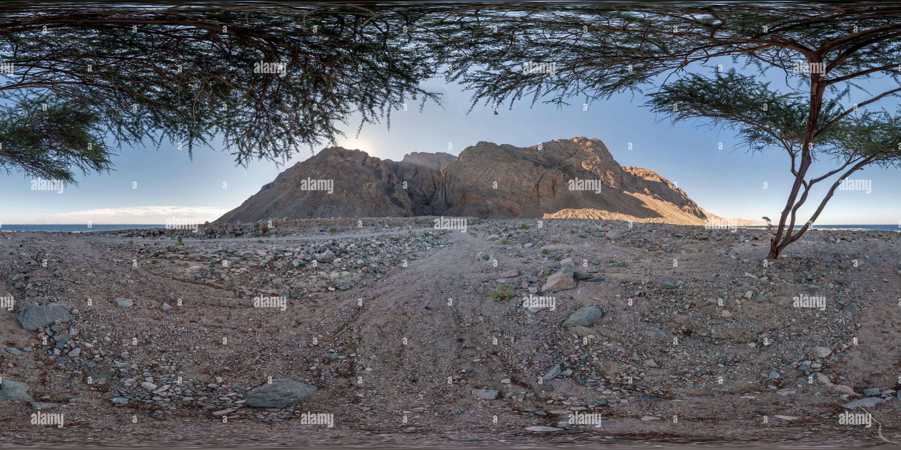 360 Grad Panorama Ansicht von Full nahtloser spherical hdri 360 Panorama-Ansicht des Sonnenuntergangs in der Wüste unter Baum mit Sonne scheint hinter dem Berg an der Küste des Meeres in equerectangu