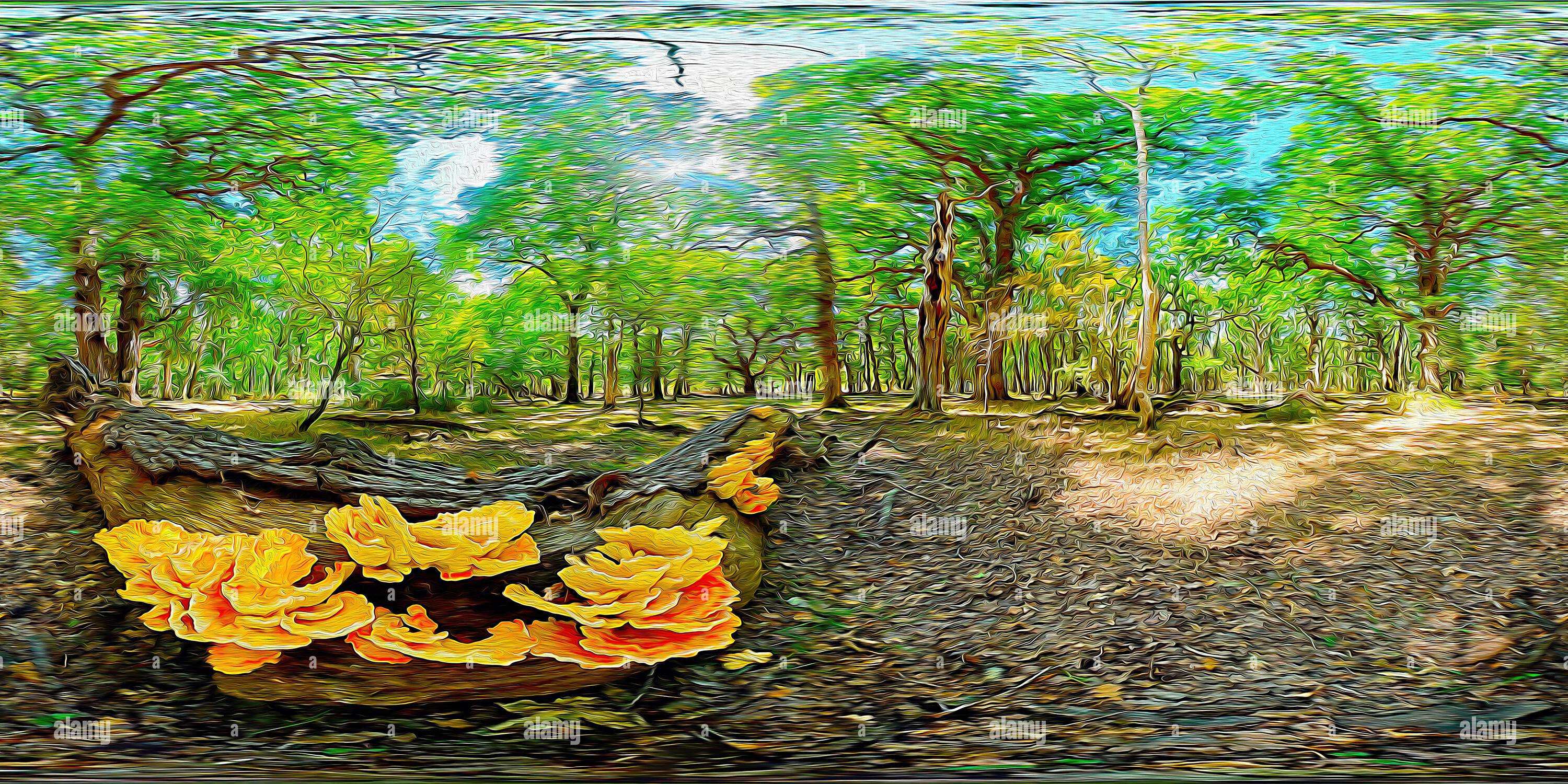 360 Grad Panorama Ansicht von Huhn der Wald Pilz