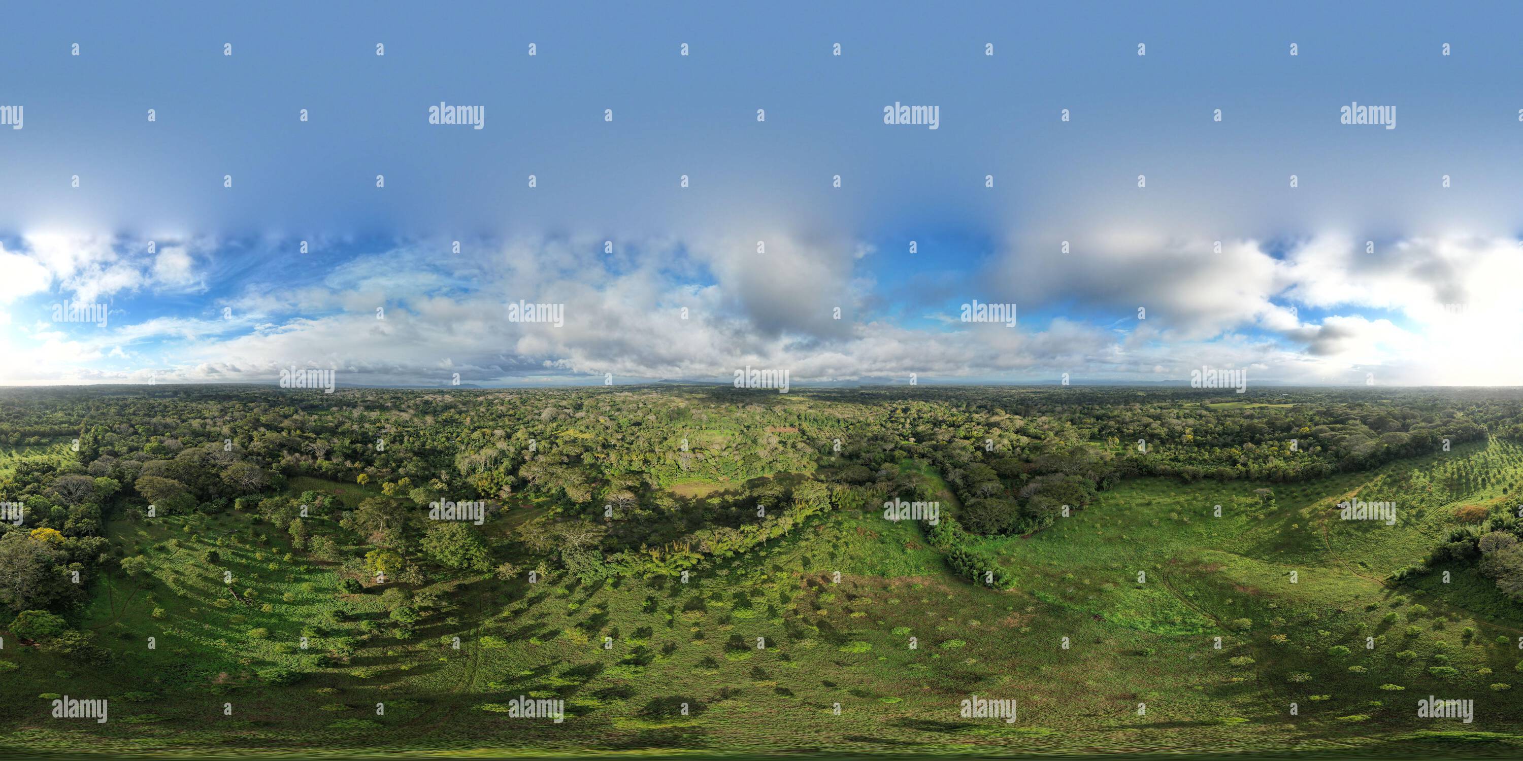 360 Grad Panorama Ansicht von Avocado Plantage Farm 360 vr Vorderansicht im tropischen Klima Hintergrund