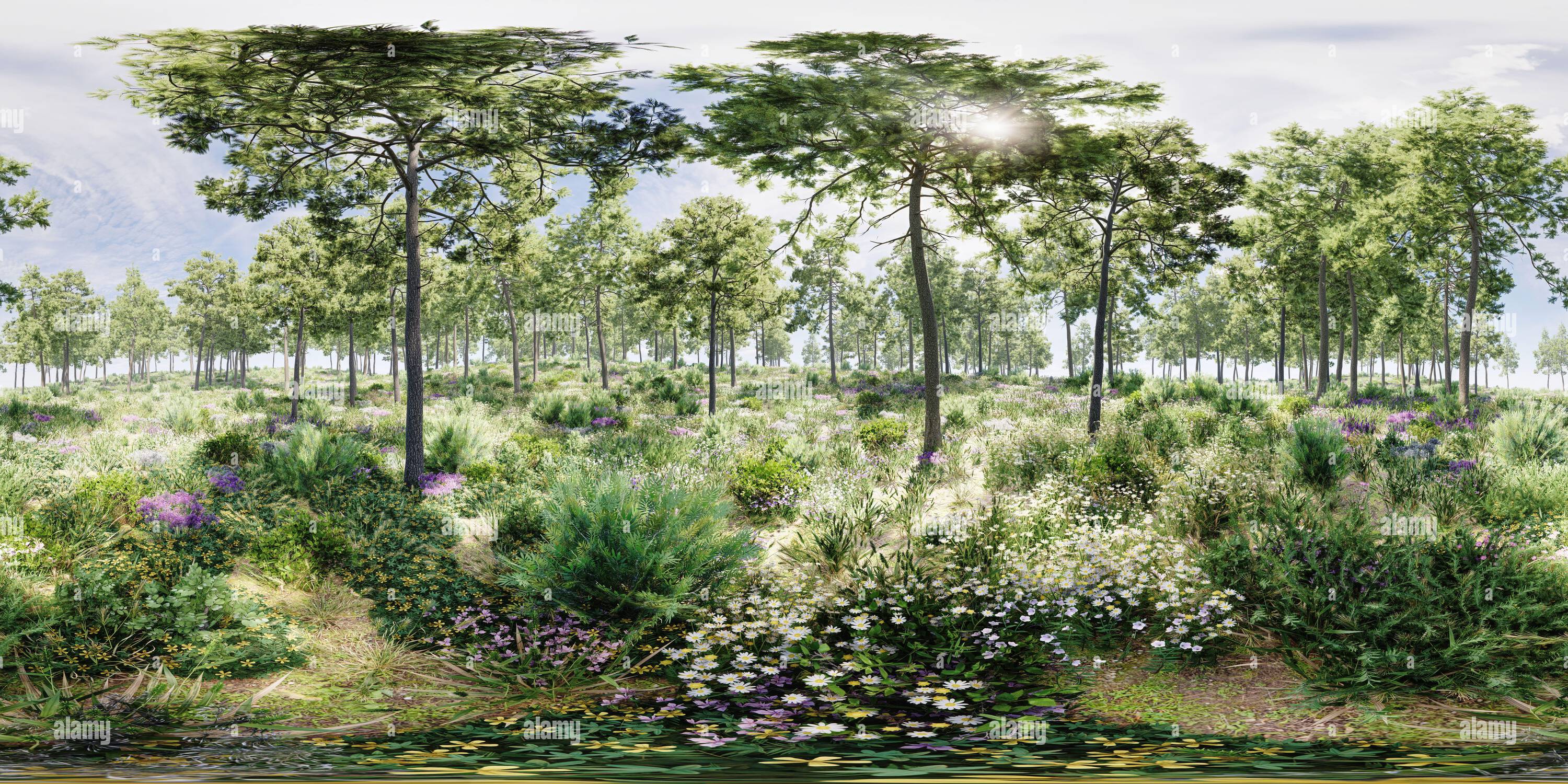 360 Grad Panorama Ansicht von Ein Wald mit Unterwuchsblumen um 2 Uhr, 360° rechteckiges Panoramabild, realistisches Rendern von 3D