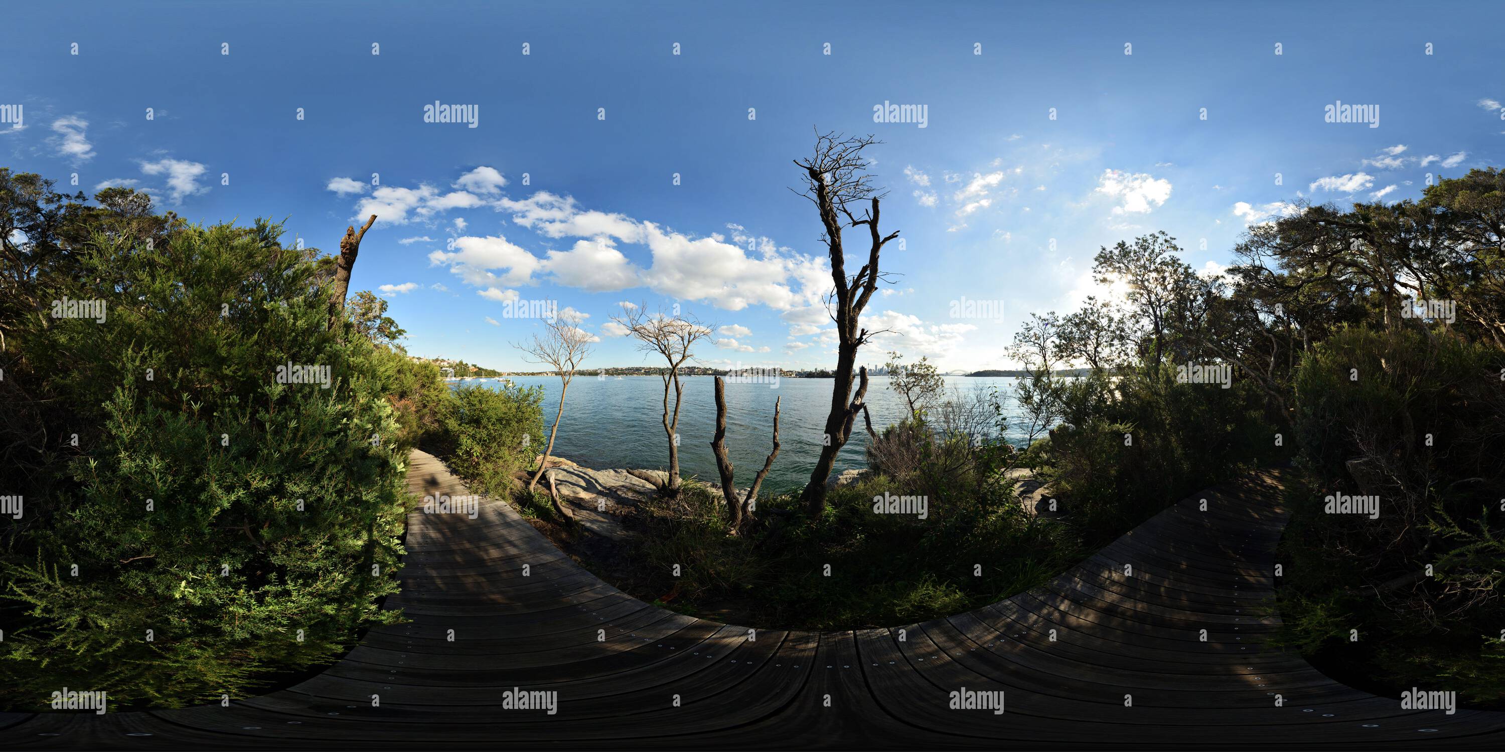 360 Grad Panorama Ansicht von Hermitage Foreshore Track, 360° Panorama des Sydney Harbour National Park, Vaucluse, Australien