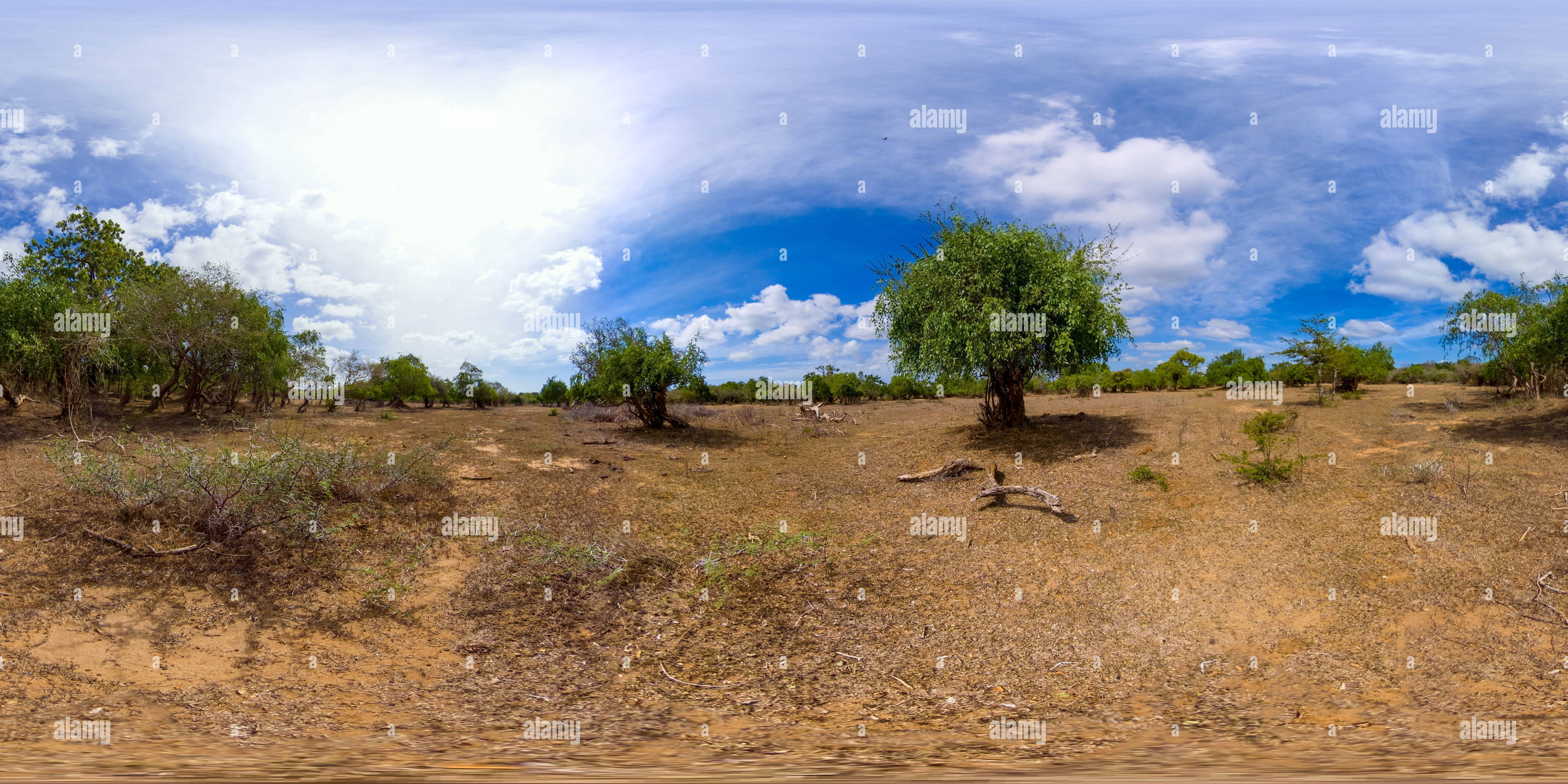 360 Grad Panorama Ansicht von Savannah-Landschaft in Sri Lanka. Kumana-Nationalpark. 360 Panorama VR