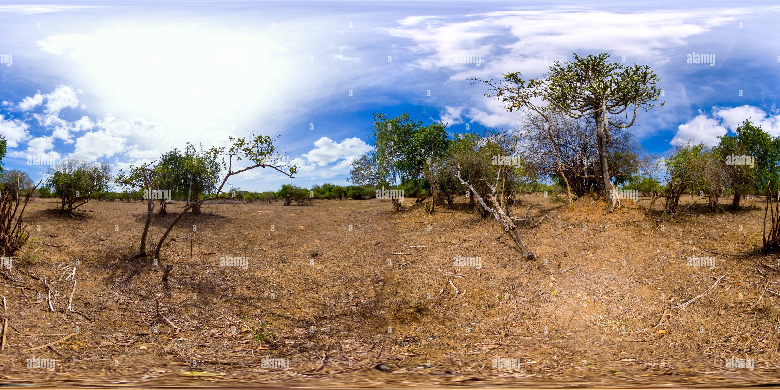 360 Grad Panorama Ansicht von Savannah-Landschaft in Sri Lanka. Kumana-Nationalpark. 360 Panorama VR