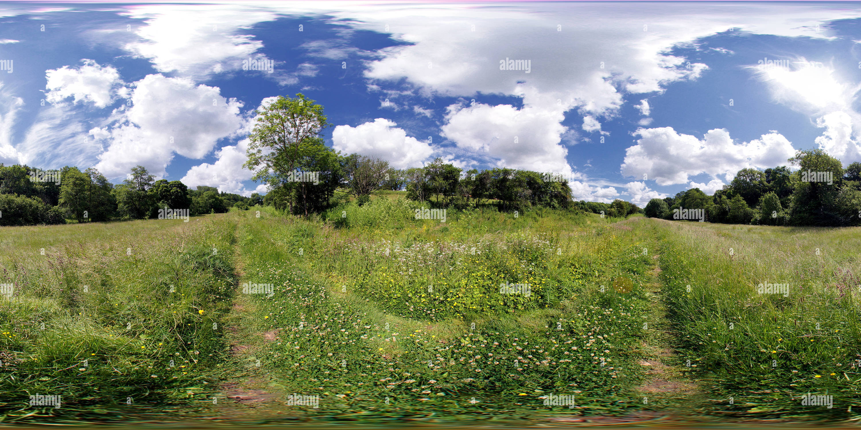 360 Grad Panorama Ansicht von Eine Englische Meadow, Midford, Somerset. VR