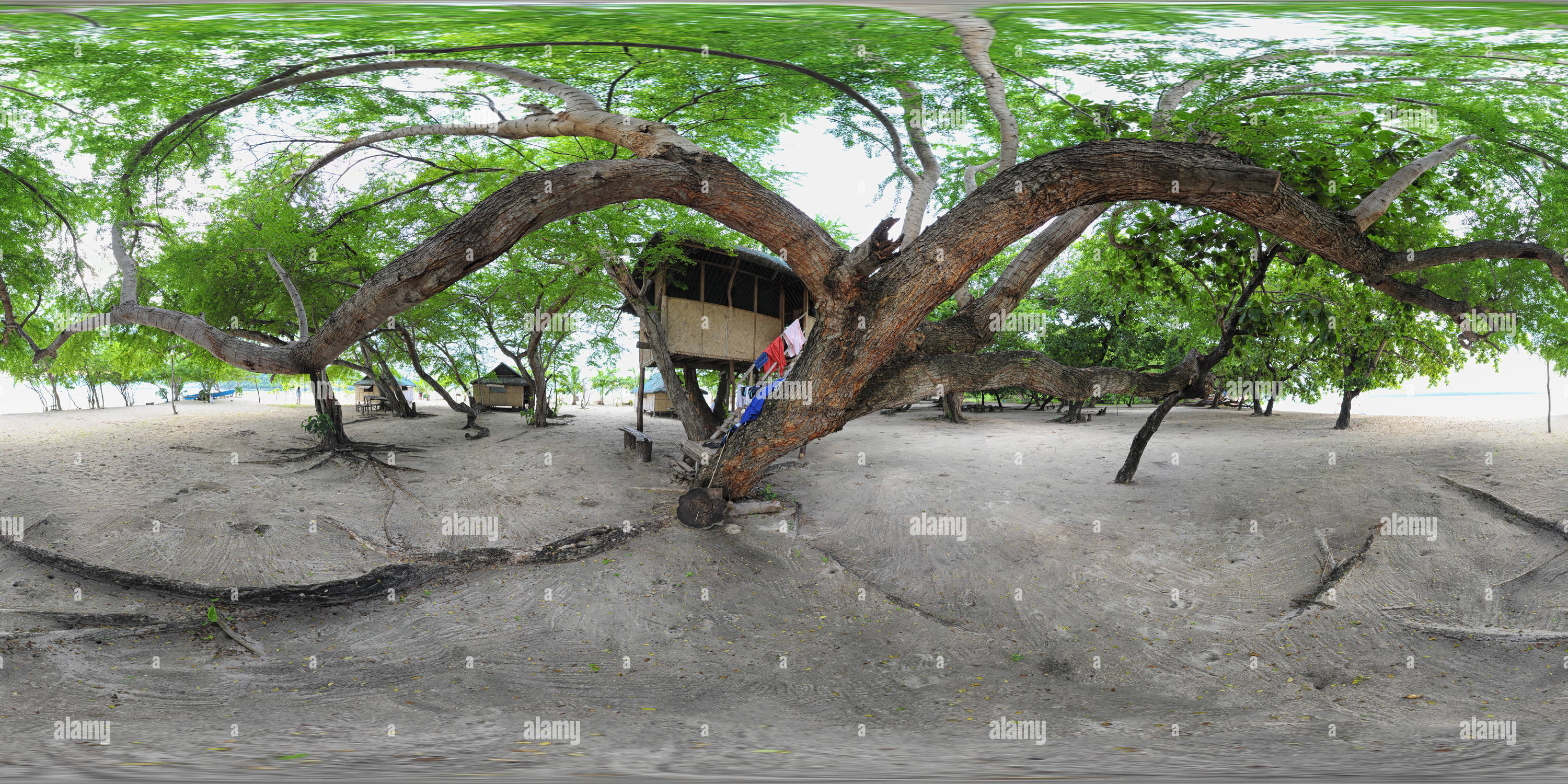 360 Grad Panorama Ansicht von Magalawa Tree House