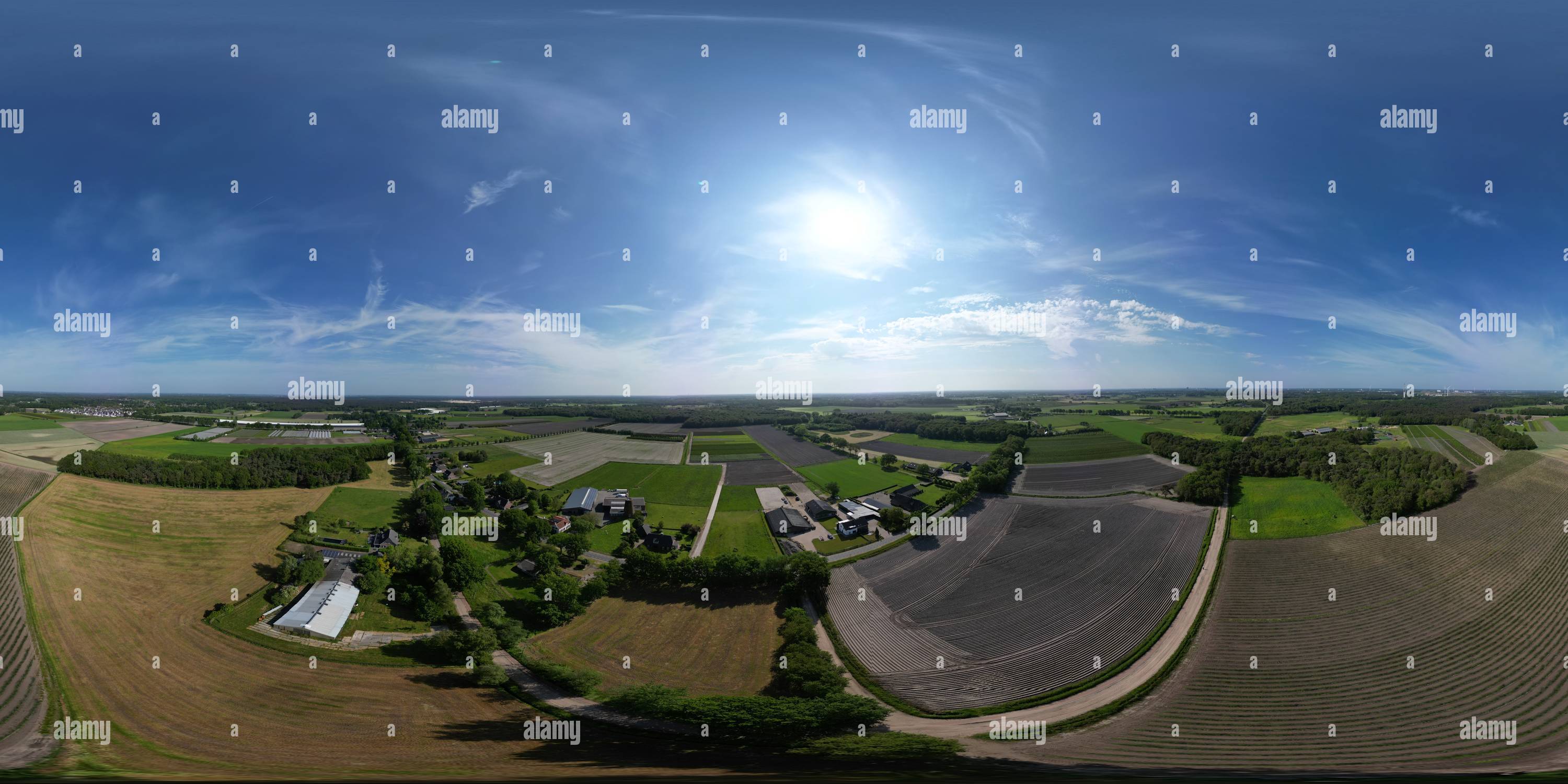 360 Grad Panorama Ansicht von Sommer in Brabant, NL
