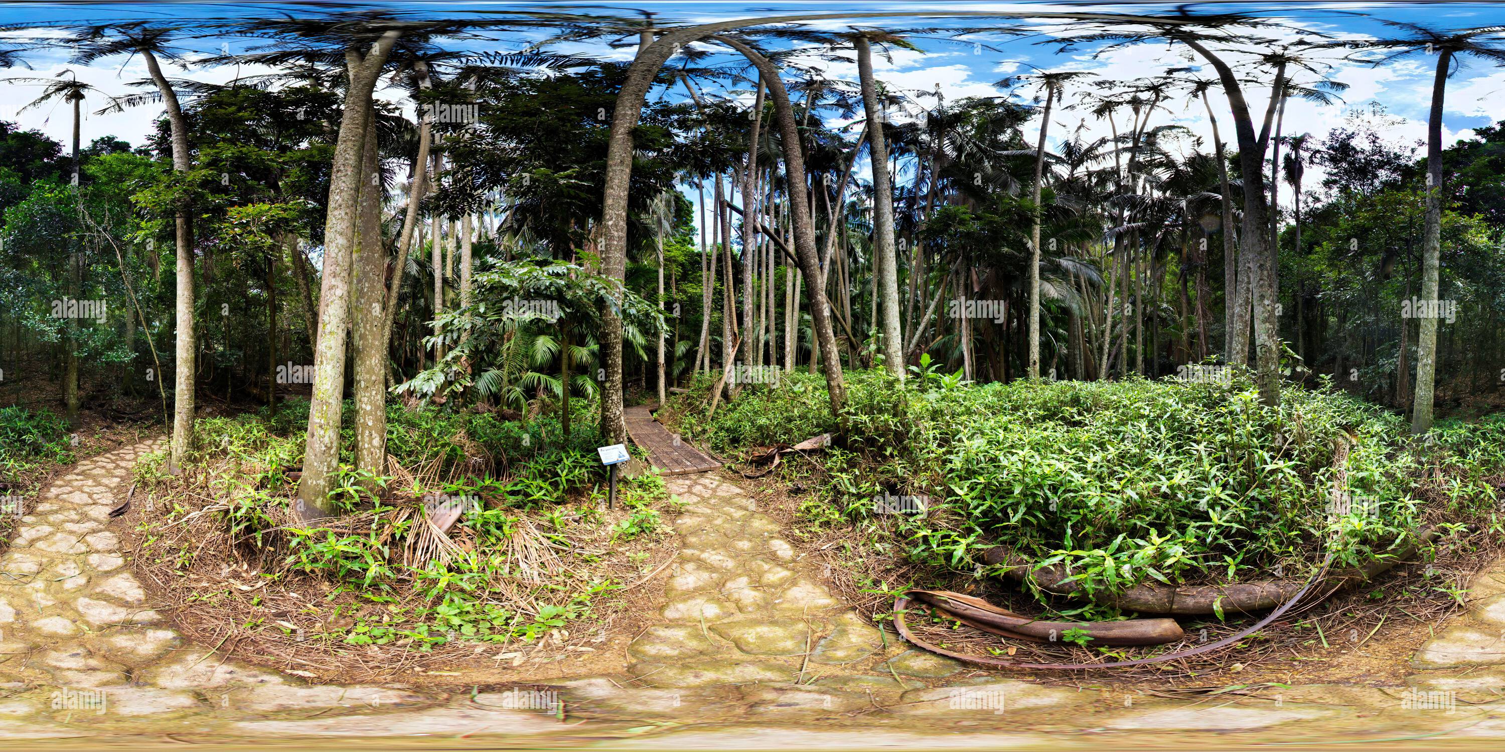 360 Grad Panorama Ansicht von 360°-Panorama des Boldery Park Wanderwegs im Palms National Park in der Nähe von Cooyar Queensland Australien