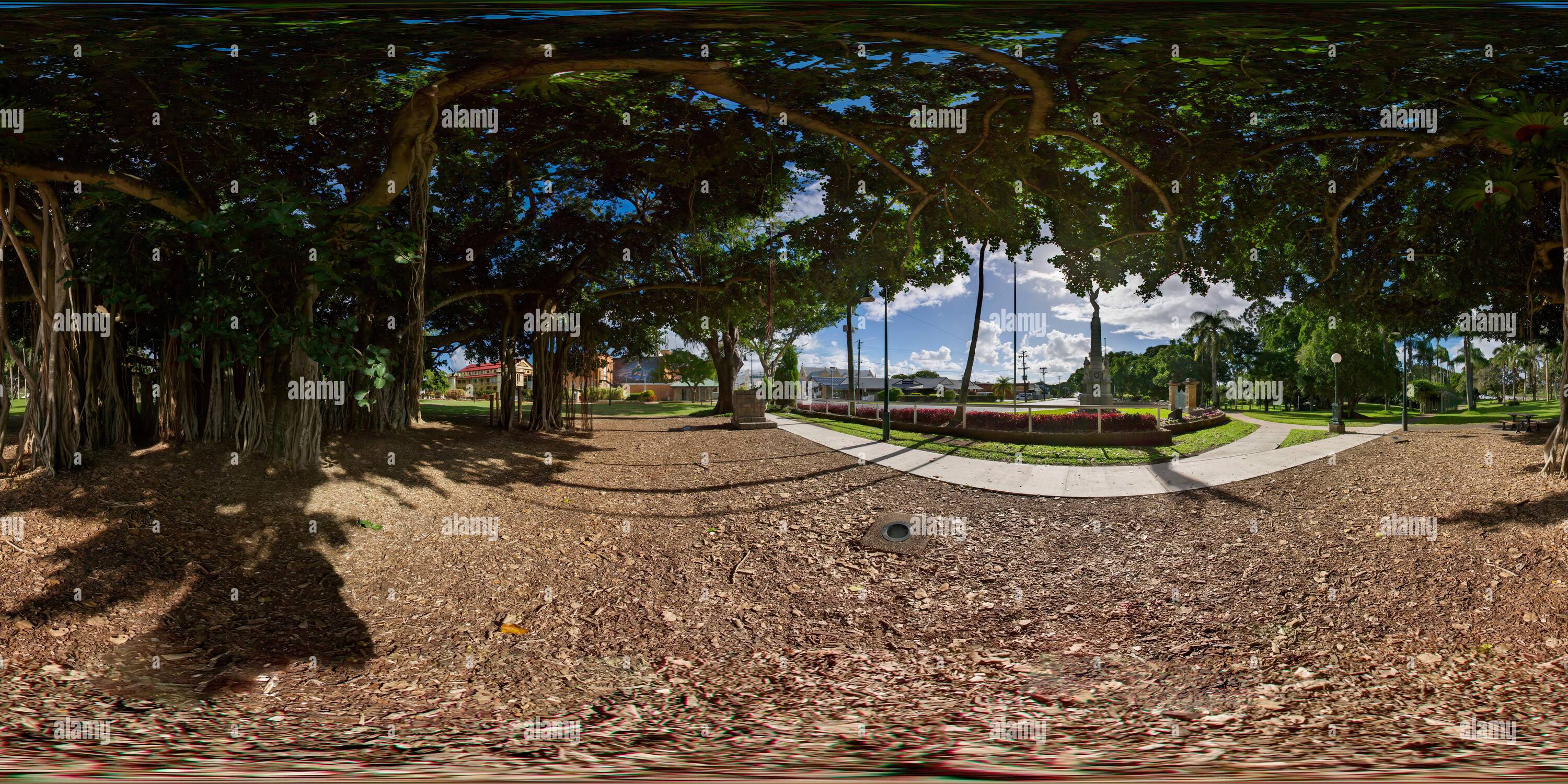 360 Grad Panorama Ansicht von 360°-Panorama des prächtigen Banyan Feigenexemplars (Ficus benghalensis) im Queens Park Maryborough Queensland Australien