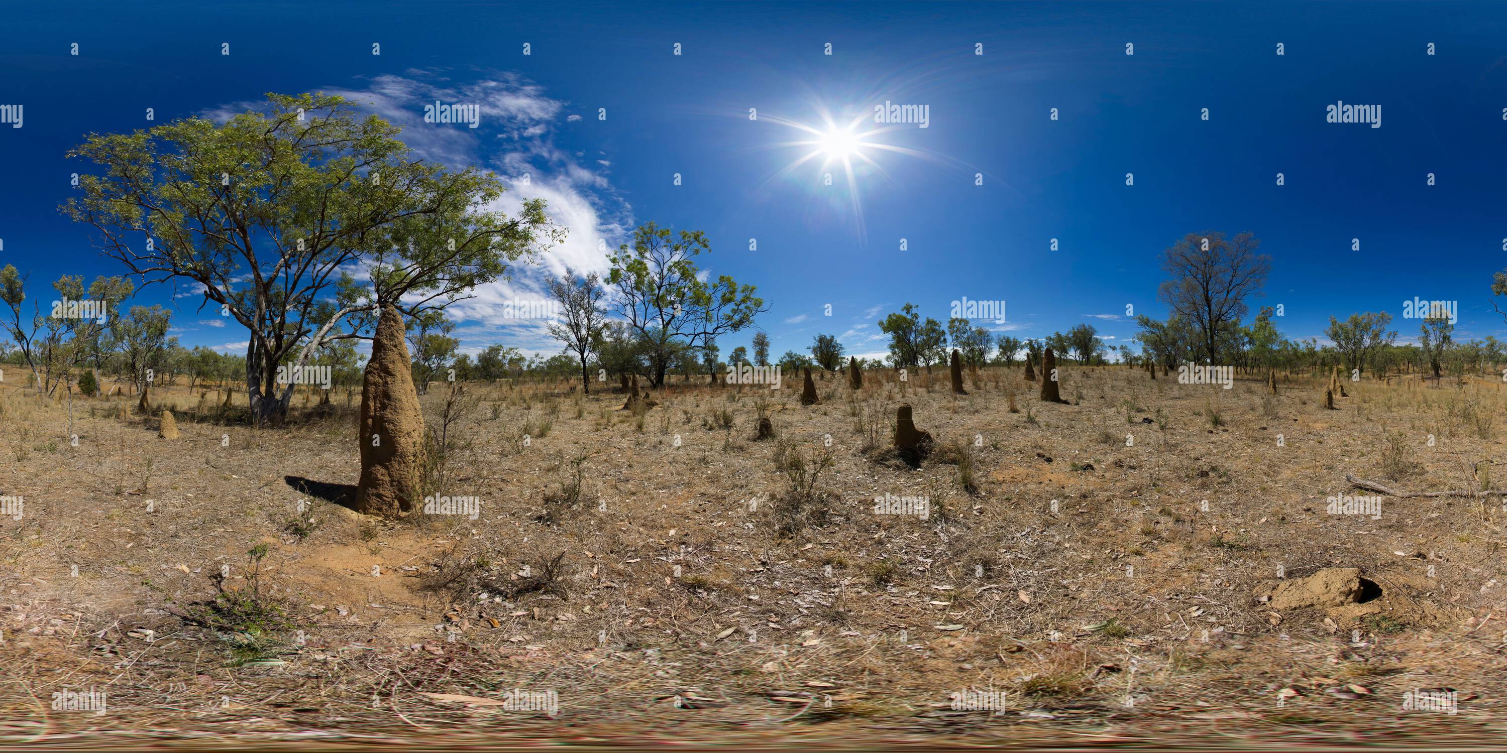 360 Grad Panorama Ansicht von Termitenhügel, die überall in den Savannen im Norden Queenslands gefunden werden. Diese liegen in der Nähe von Forsayth Northern Gold Fields Queensland Australia