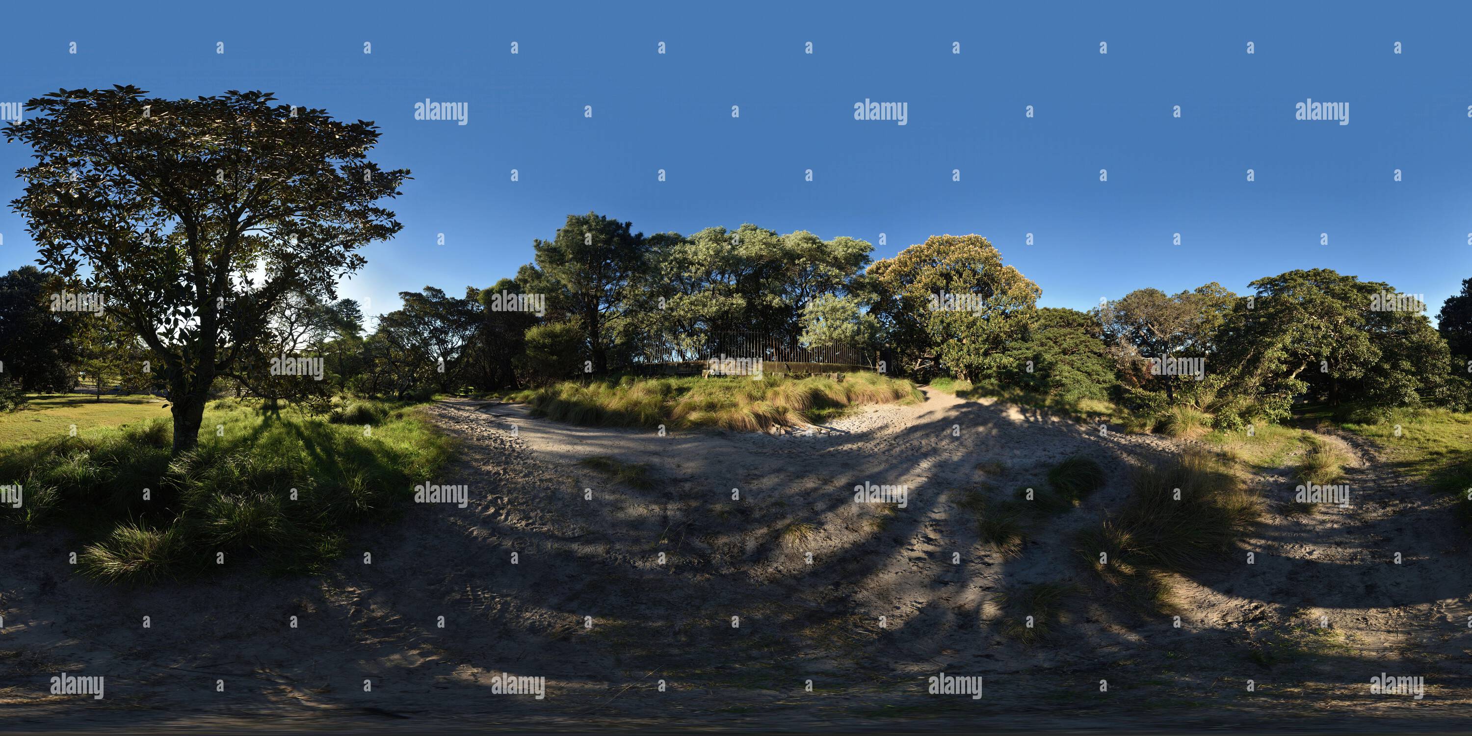 360 Grad Panorama Ansicht von Sydney, Australien, ein 360°-Panorama mit sandigen Hügeln und Sumpfgebieten des Centennial Park, dessen Ursprünge im südöstlichen Panhandle des Parks zu sehen sind