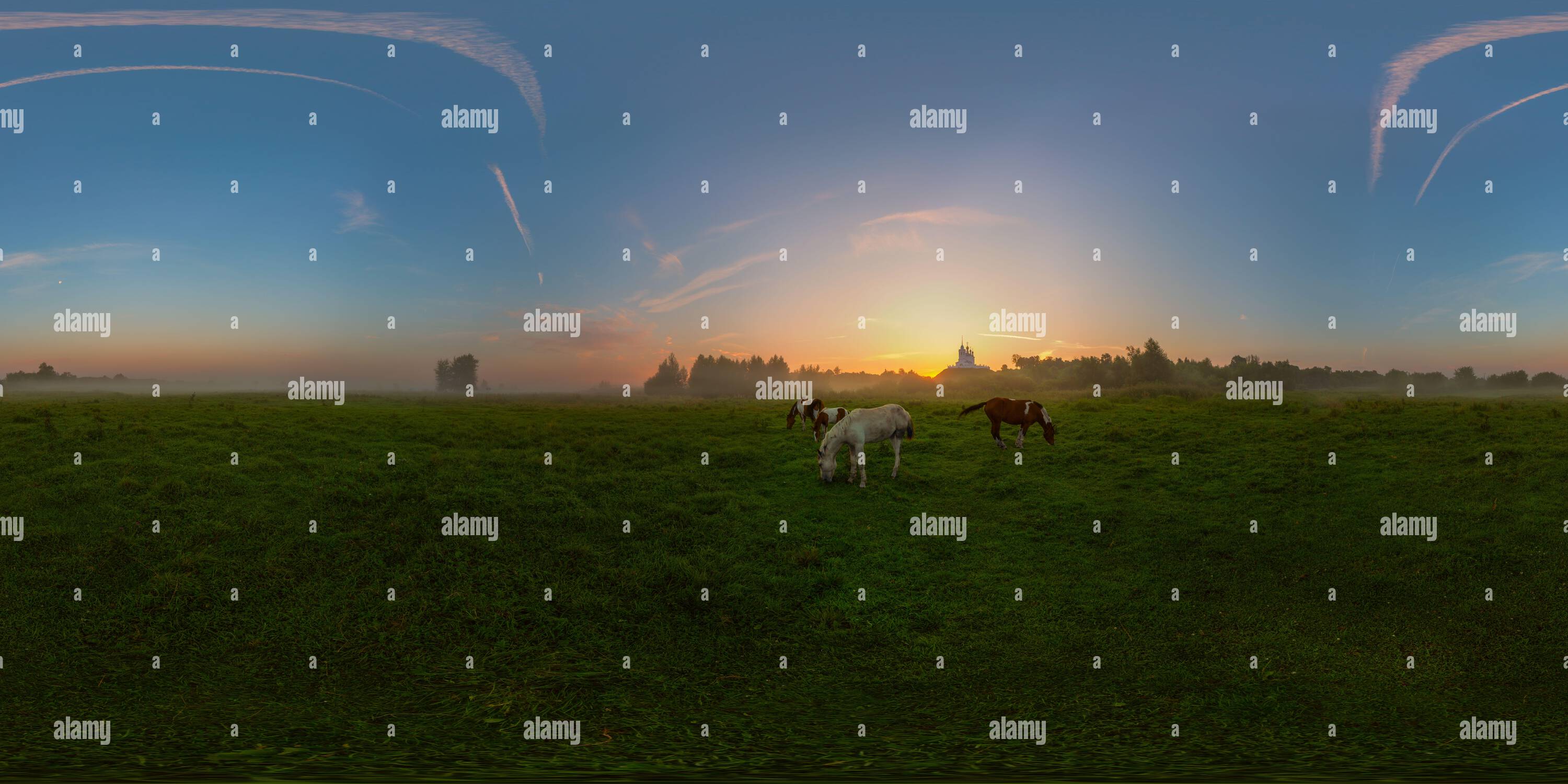 360 Grad Panorama Ansicht von Nebeliger Sonnenaufgang auf der Wiese voller sphärischer Panoramablick. 360 x 180 Grad Blickwinkel bei gleicheckiger Projektion. Kann in der virtuellen Realität oder in 3D-g verwendet werden