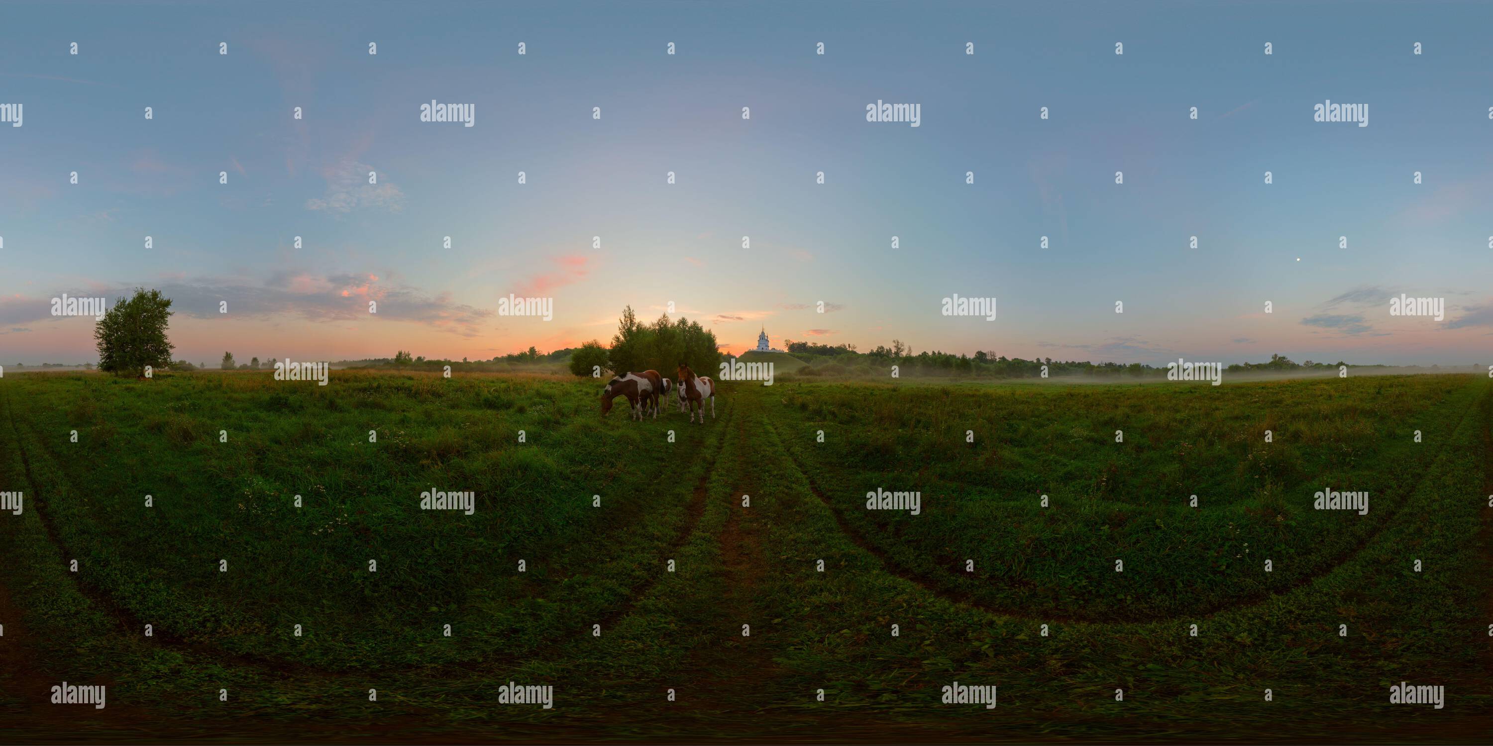 360 Grad Panorama Ansicht von Nebeliger Sonnenaufgang auf der Wiese voller sphärischer Panoramablick. 360 x 180 Grad Blickwinkel bei gleicheckiger Projektion. Kann in der virtuellen Realität oder in 3D-g verwendet werden