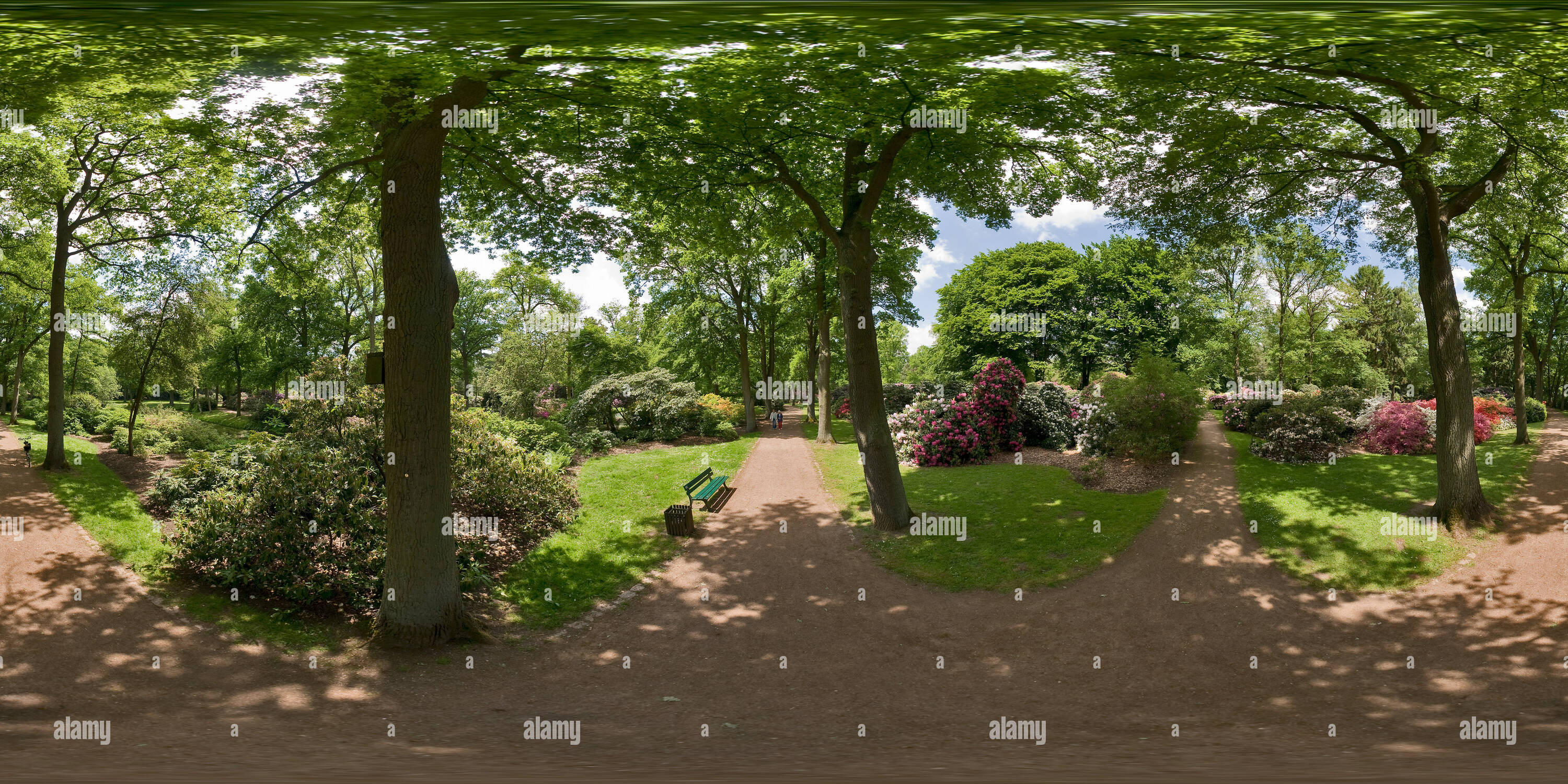 360 Grad Panorama Ansicht von Rhododendron-Park