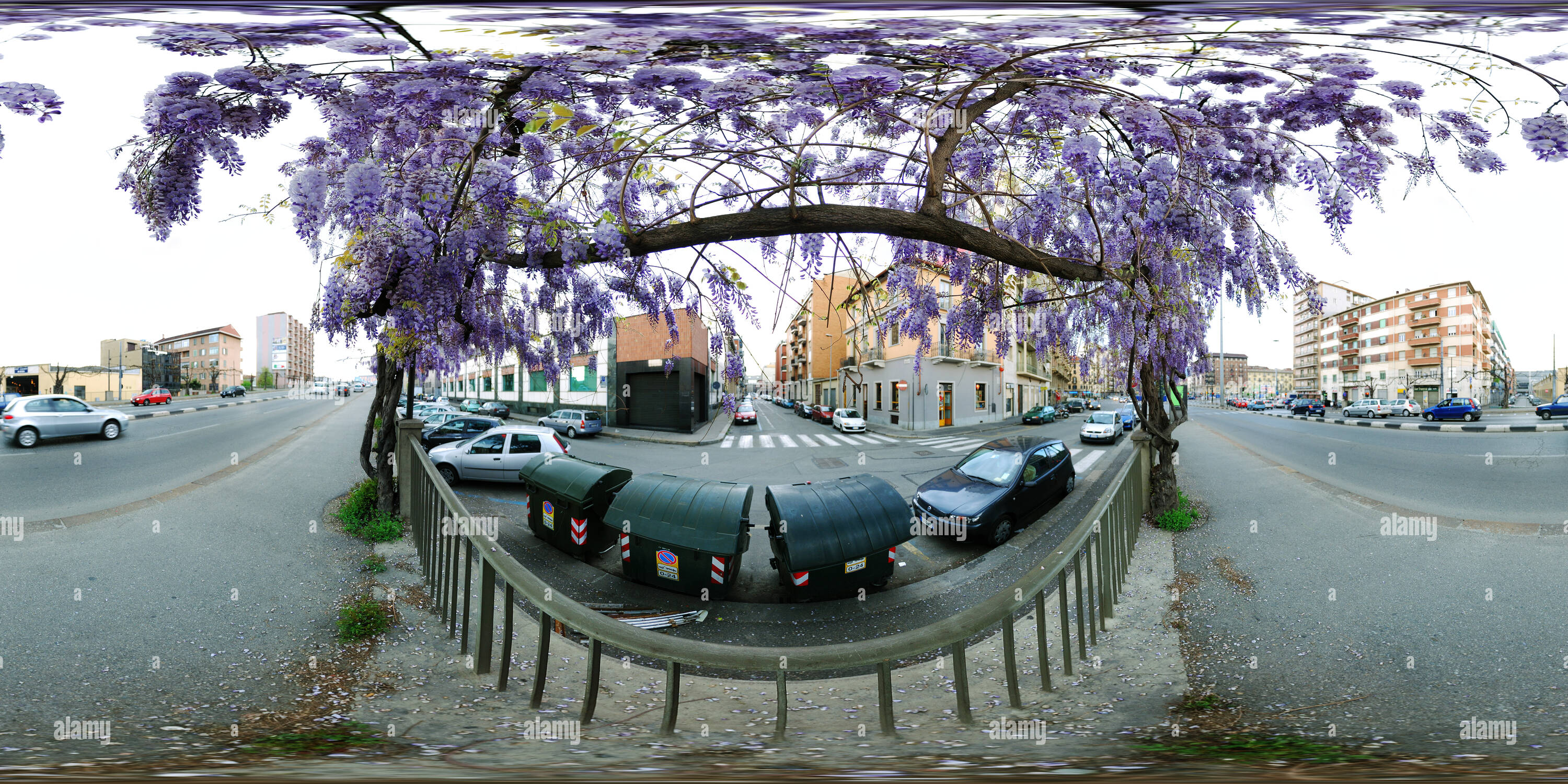 360 Grad Panorama Ansicht von Die letzte wysteria