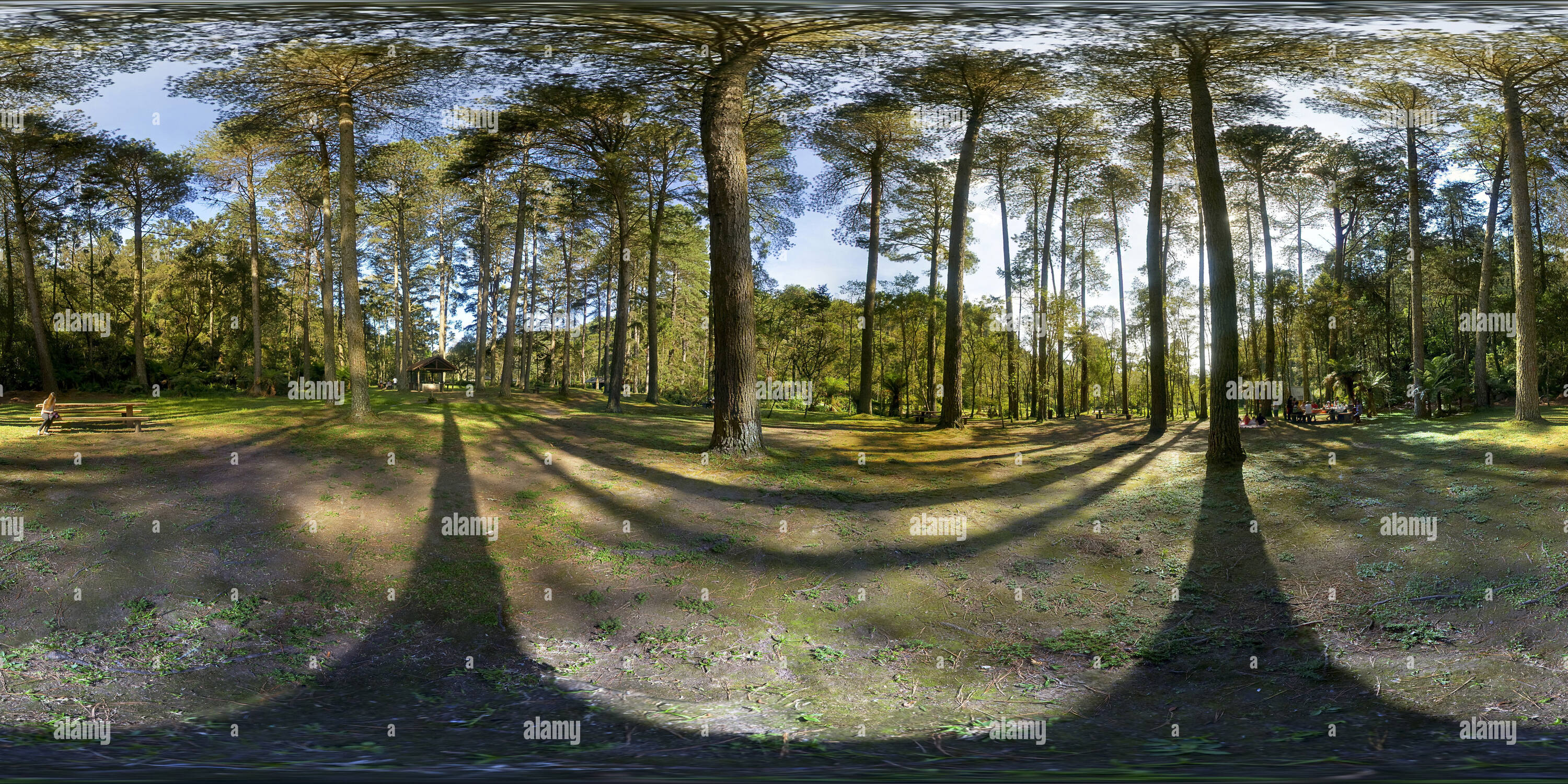 360 Grad Panorama Ansicht von Bosque Horto Florestal