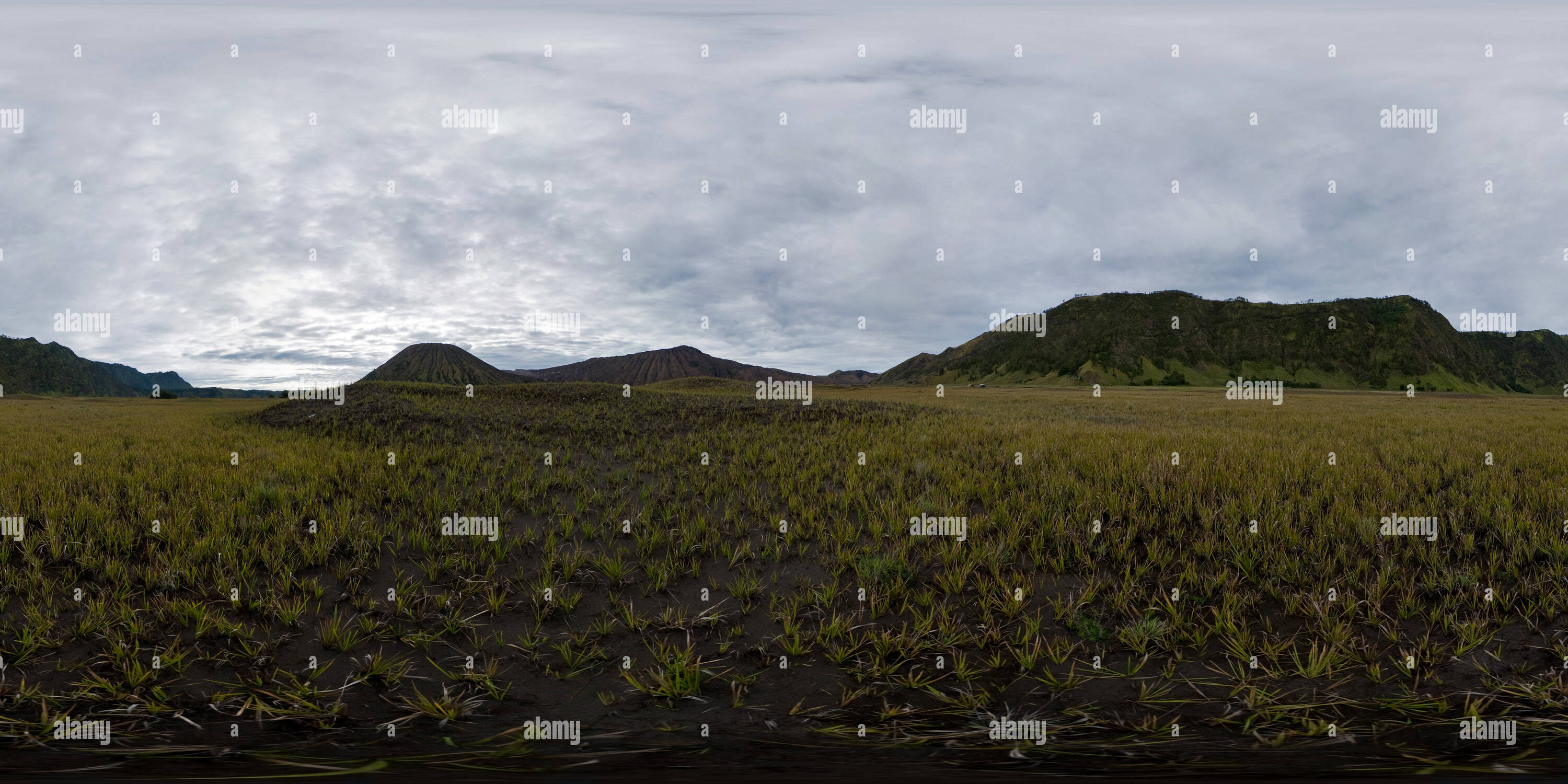 360 Grad Panorama Ansicht von Tal in der Nähe von Vulkan Bromo