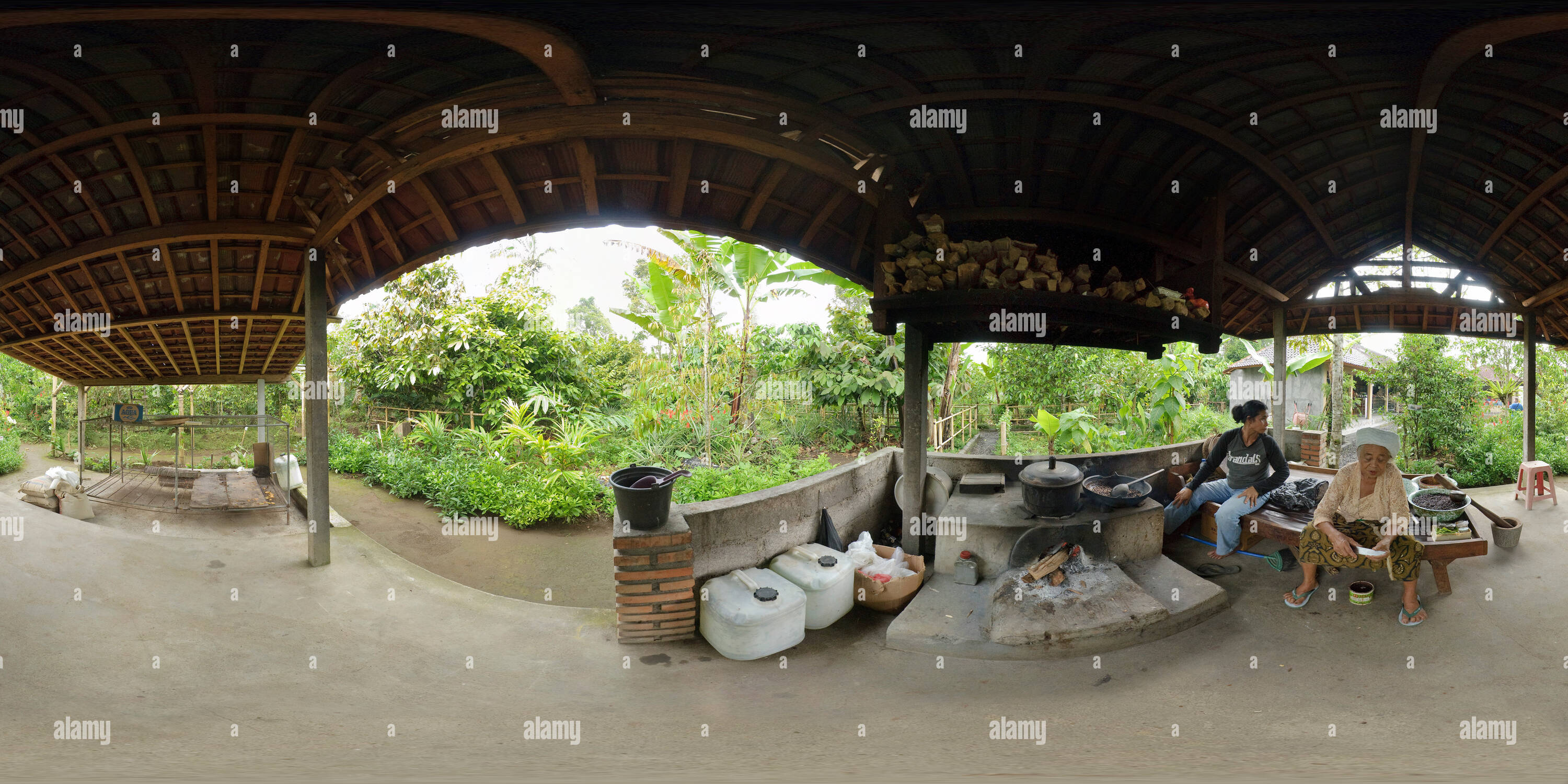 360 Grad Panorama Ansicht von Auf der Kaffeeplantage.