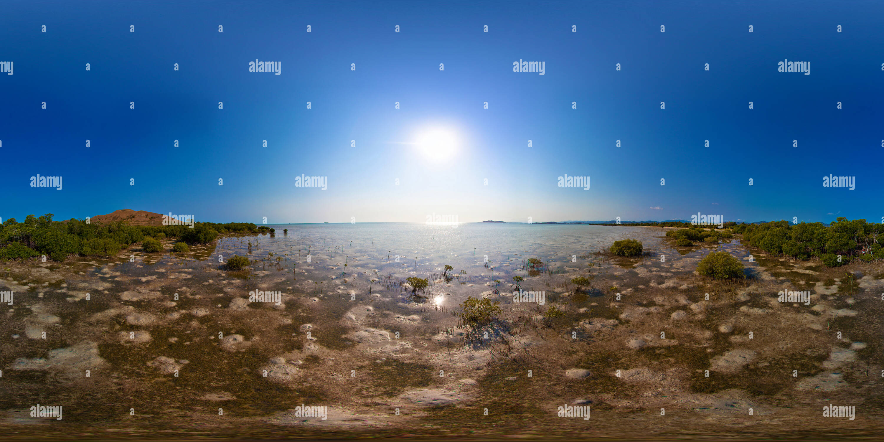 360 Grad Panorama Ansicht von Anfahren der Mangrove