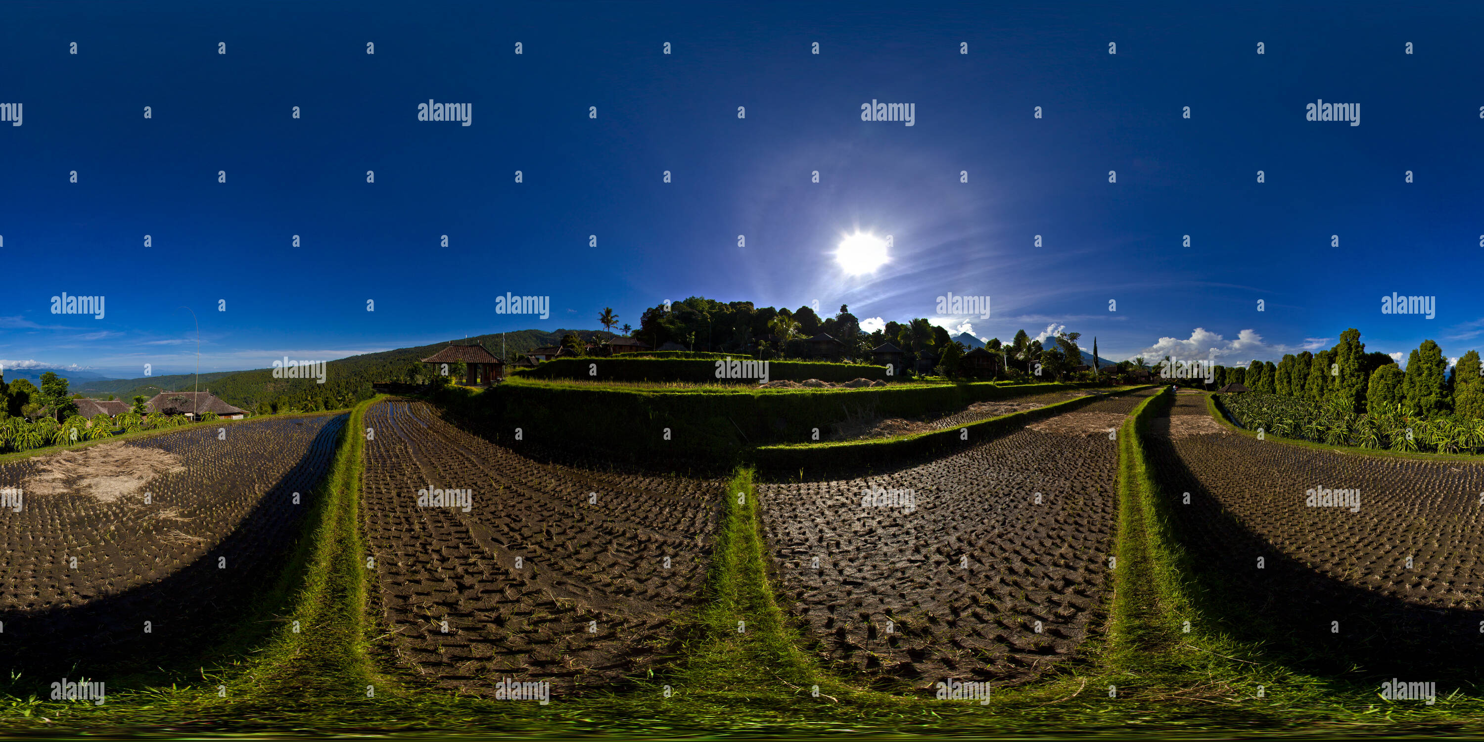 360 Grad Panorama Ansicht von Munduk: Puri Lumbung Reisterrassen.