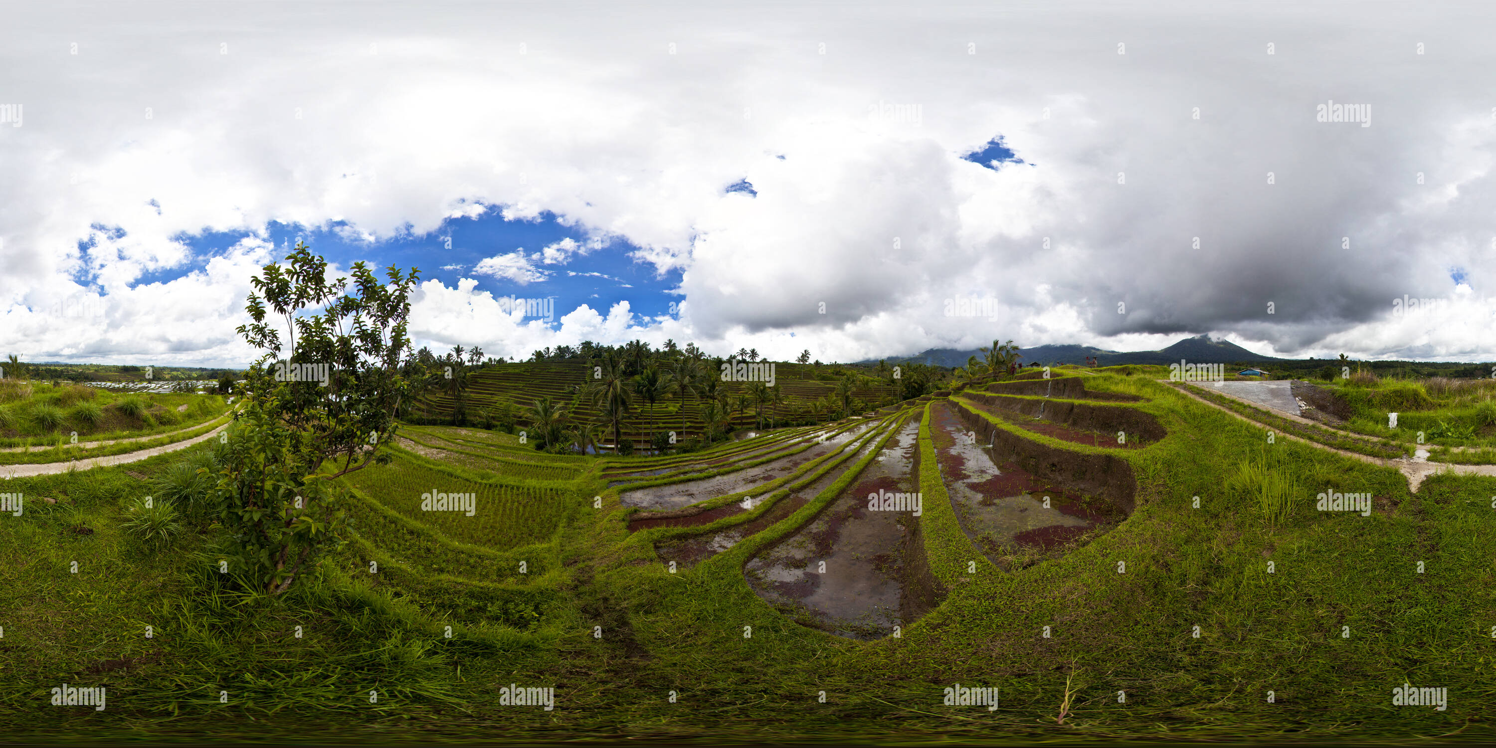 360 Grad Panorama Ansicht von Jatiluwih: Tief im Innern der balinesischen Reisterrassen