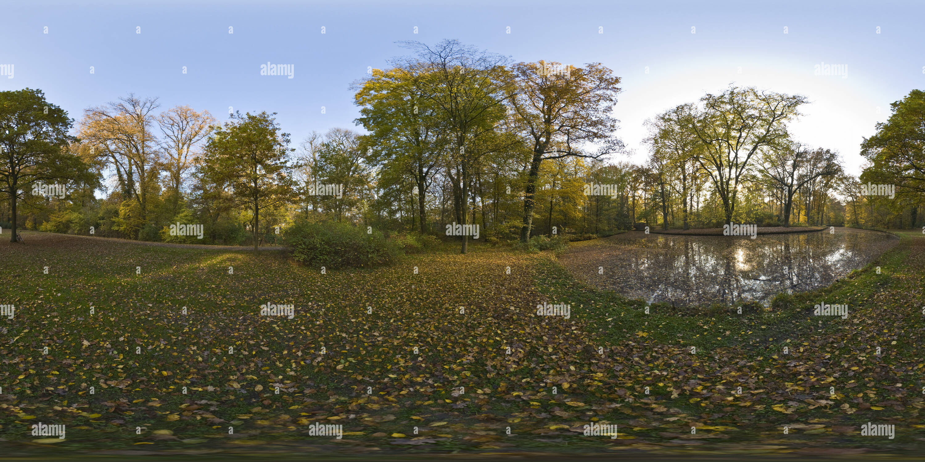 360 Grad Panorama Ansicht von Herbst Blätter