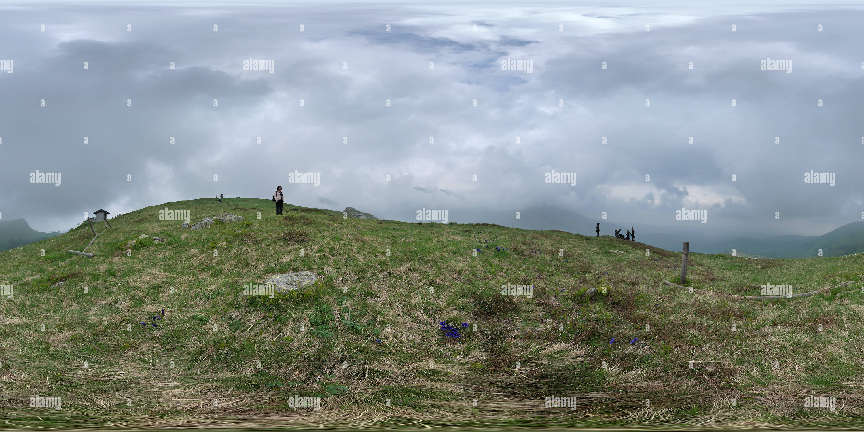 360 Grad Panorama Ansicht von Castelnuovo Nigra, Pian delle Nere: Enzian