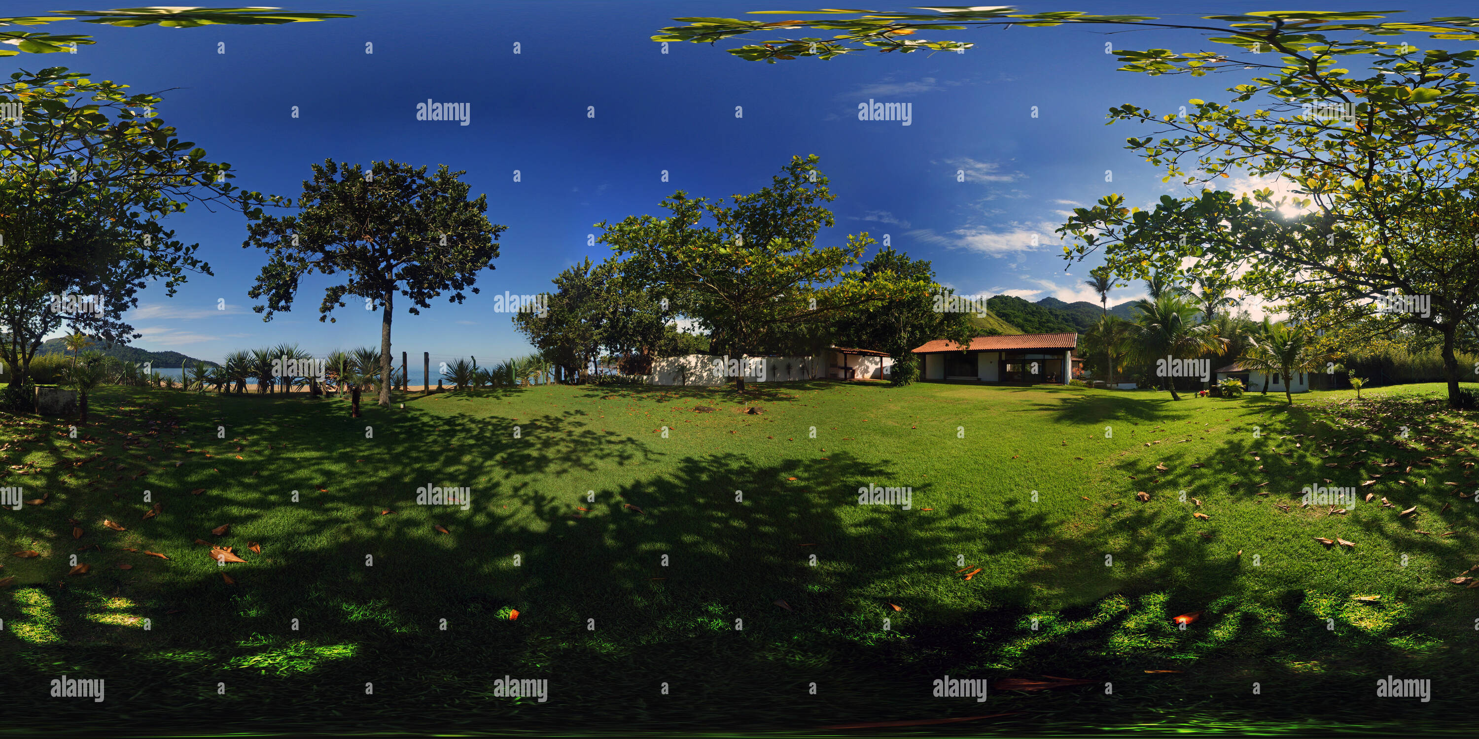 Toque toque pequeno -Fotos und -Bildmaterial in hoher Auflösung – Alamy