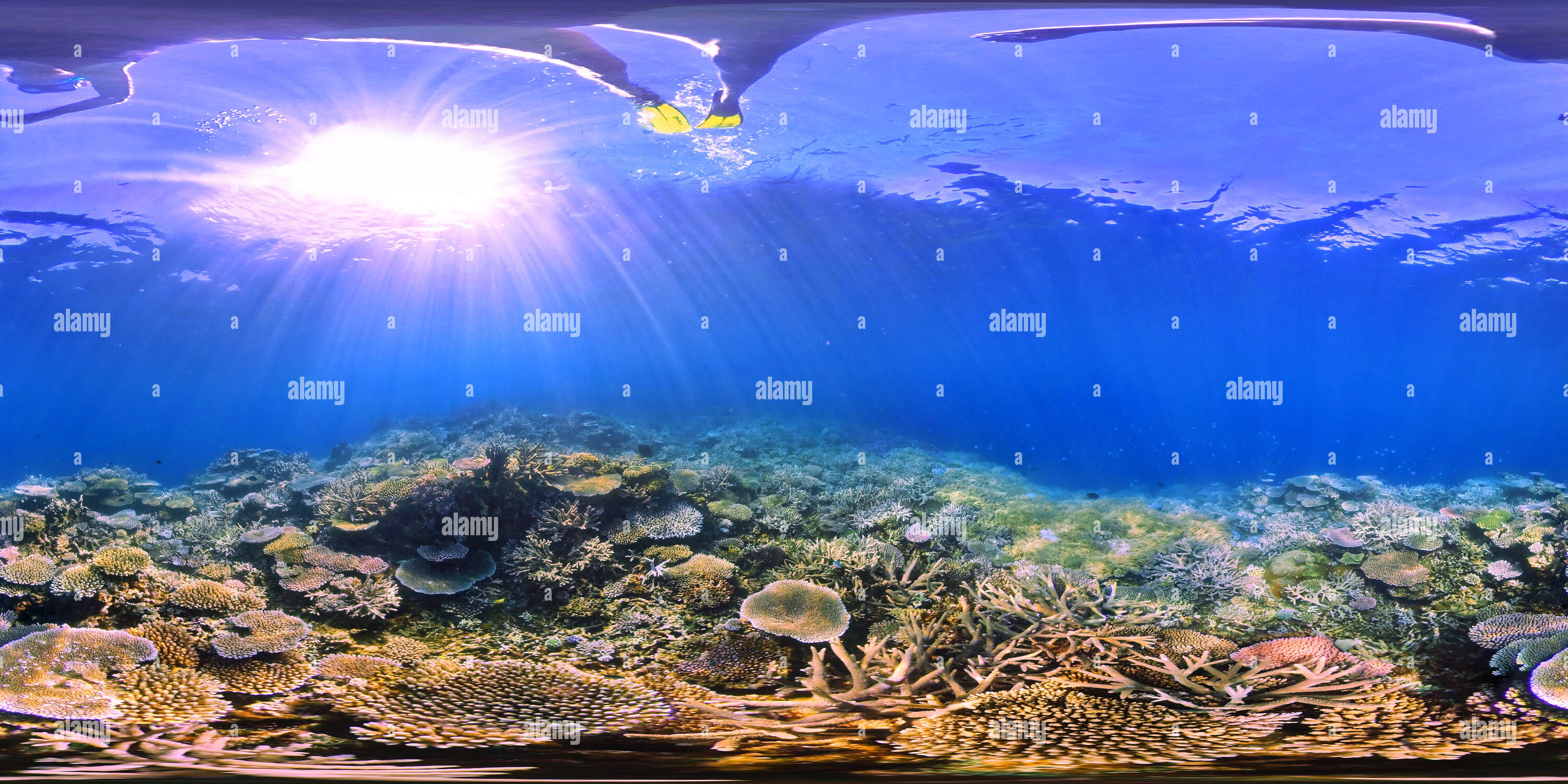 360 Grad Panorama Ansicht von Coral Reef Baie de Pain 2 Neukaledonien