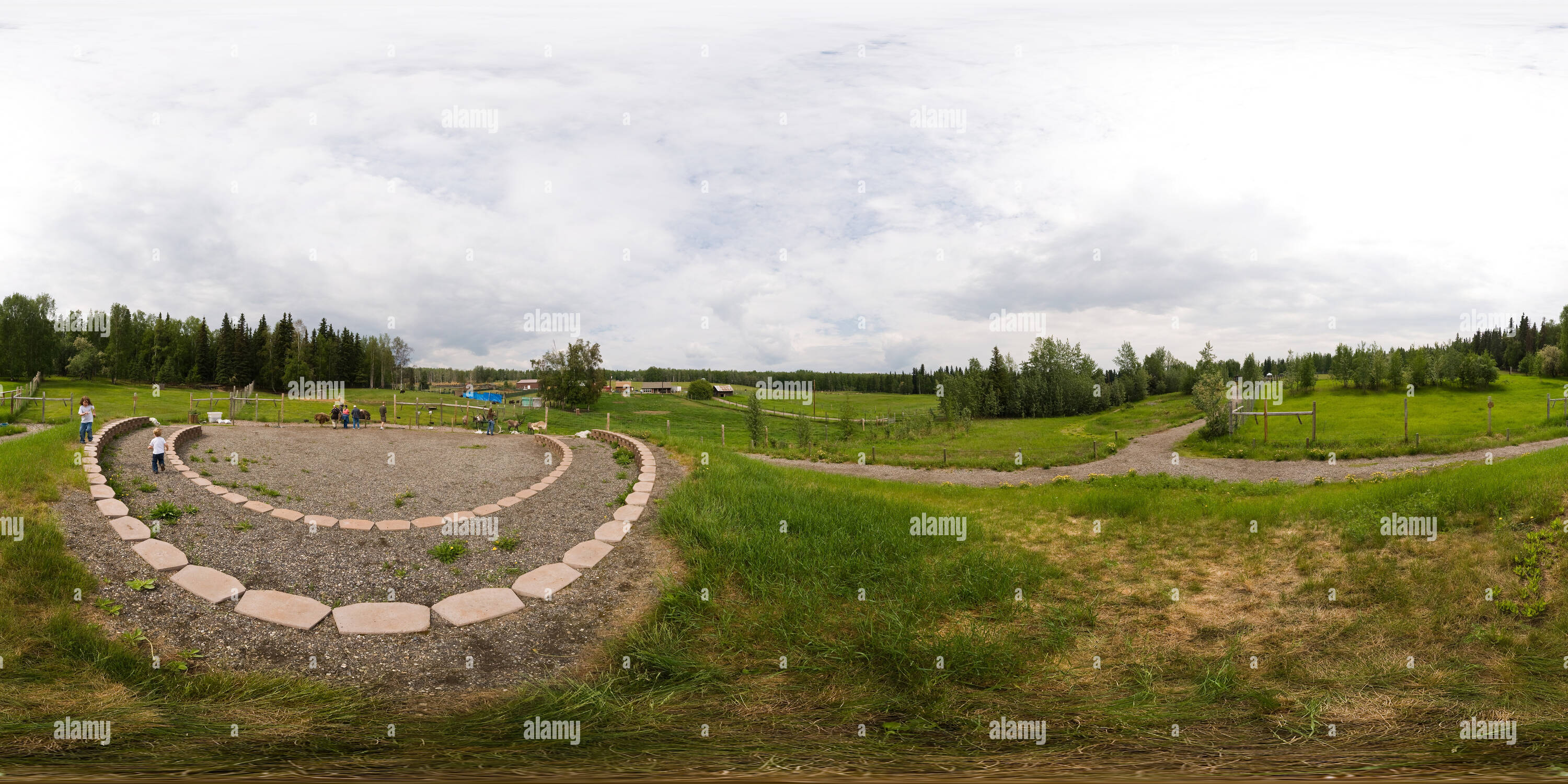 360 Grad Panorama Ansicht von Karibu und moschusochsen am großen Animal Research station