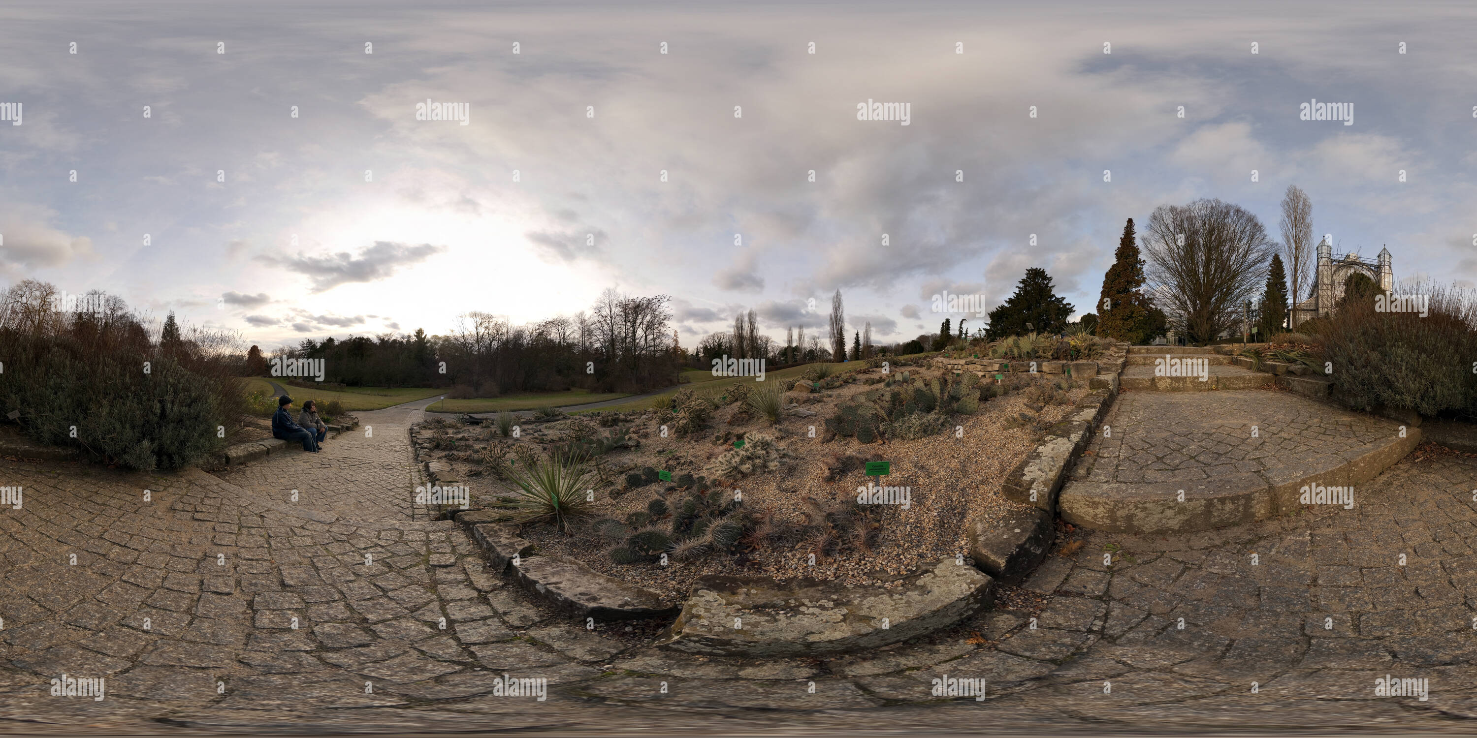 360 Grad Panorama Ansicht von Im Botanischen Garten Berlin Kakteengarten