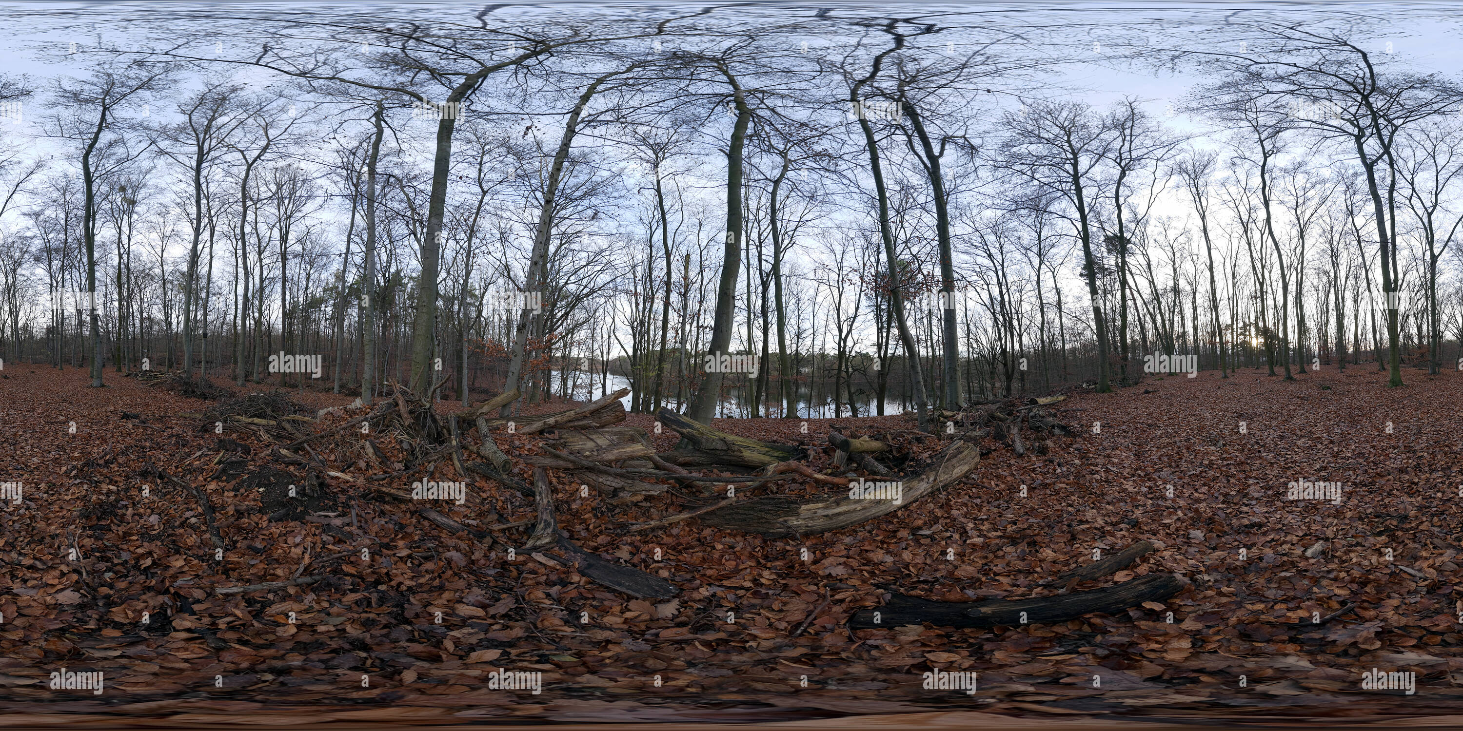 360 Grad Panorama Ansicht von Grunewald Berlin